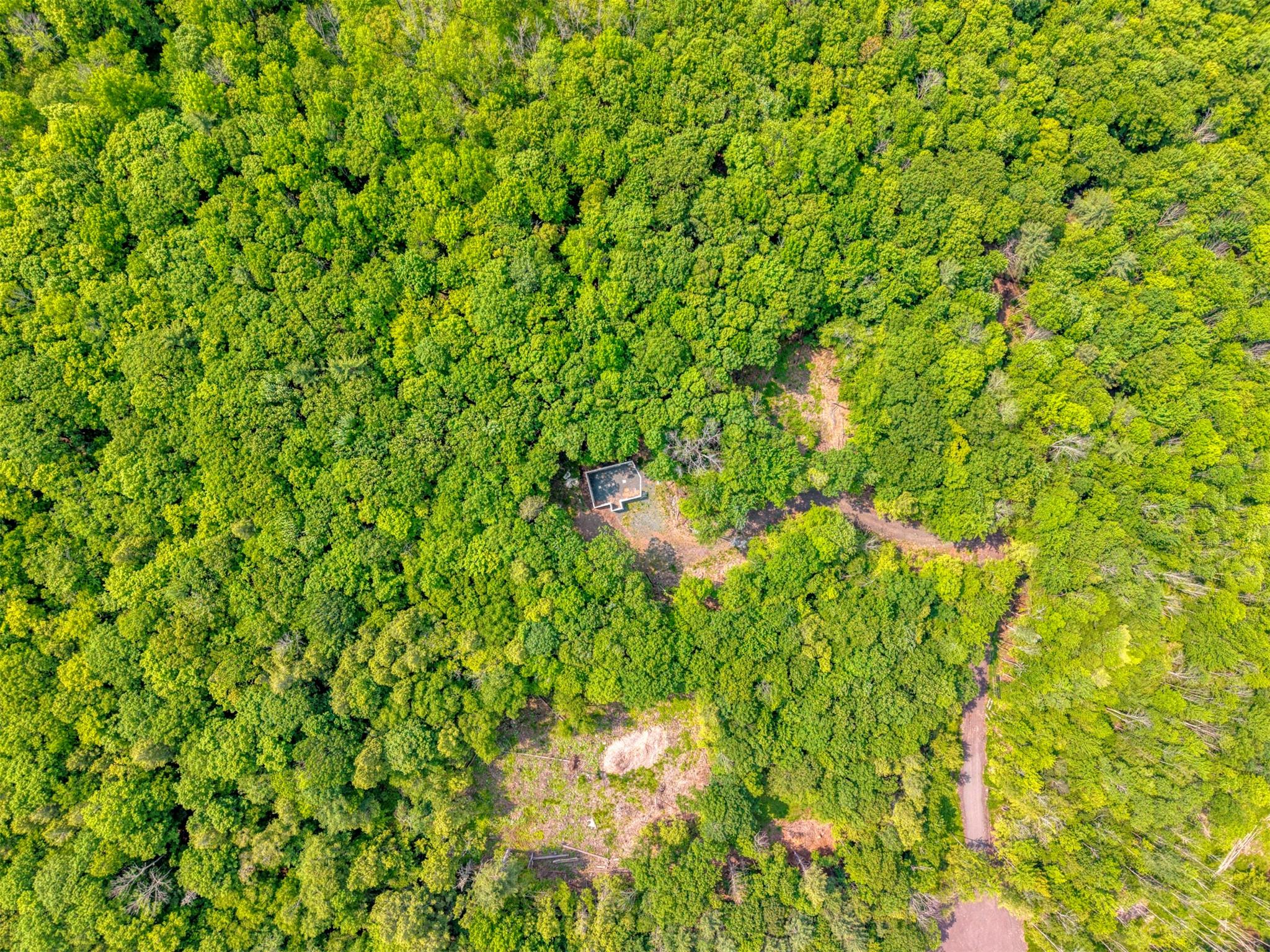 #20 photo, TBD Boulder Brook lot B12 Road, Windham , NY 12496