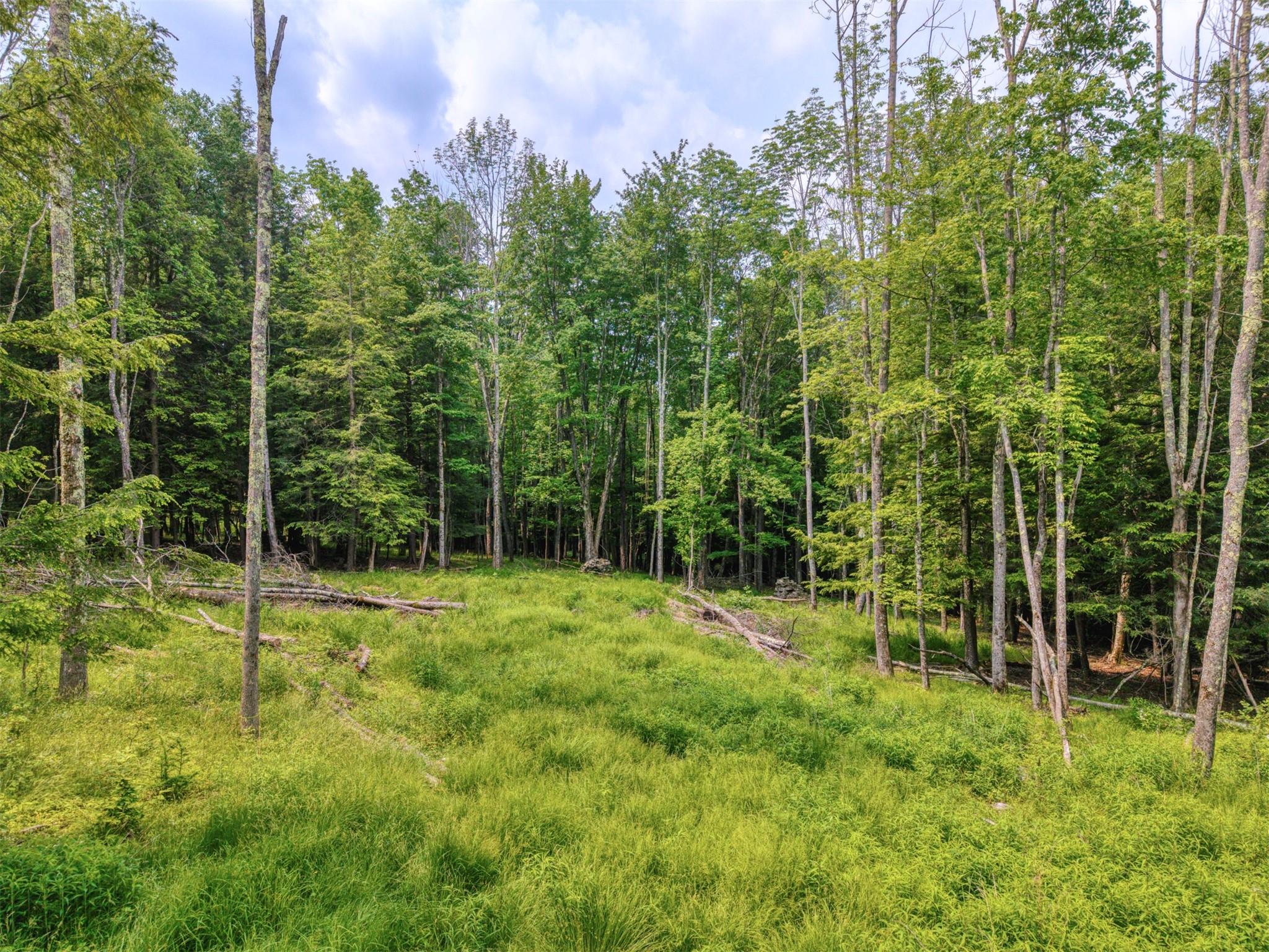 #6 photo, TBD Boulder Brook lot B12 Road, Windham , NY 12496