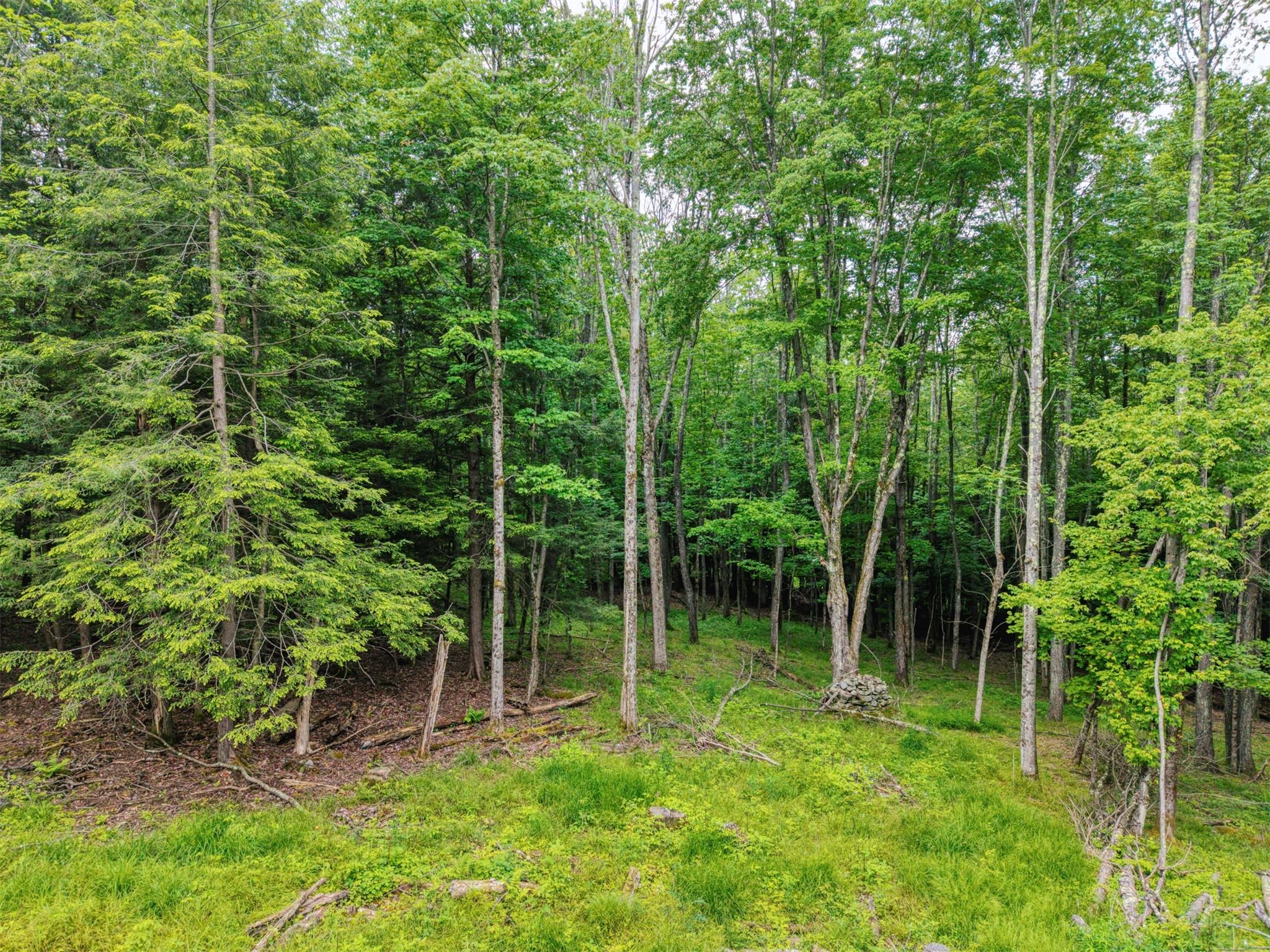 #7 photo, TBD Boulder Brook lot B12 Road, Windham , NY 12496