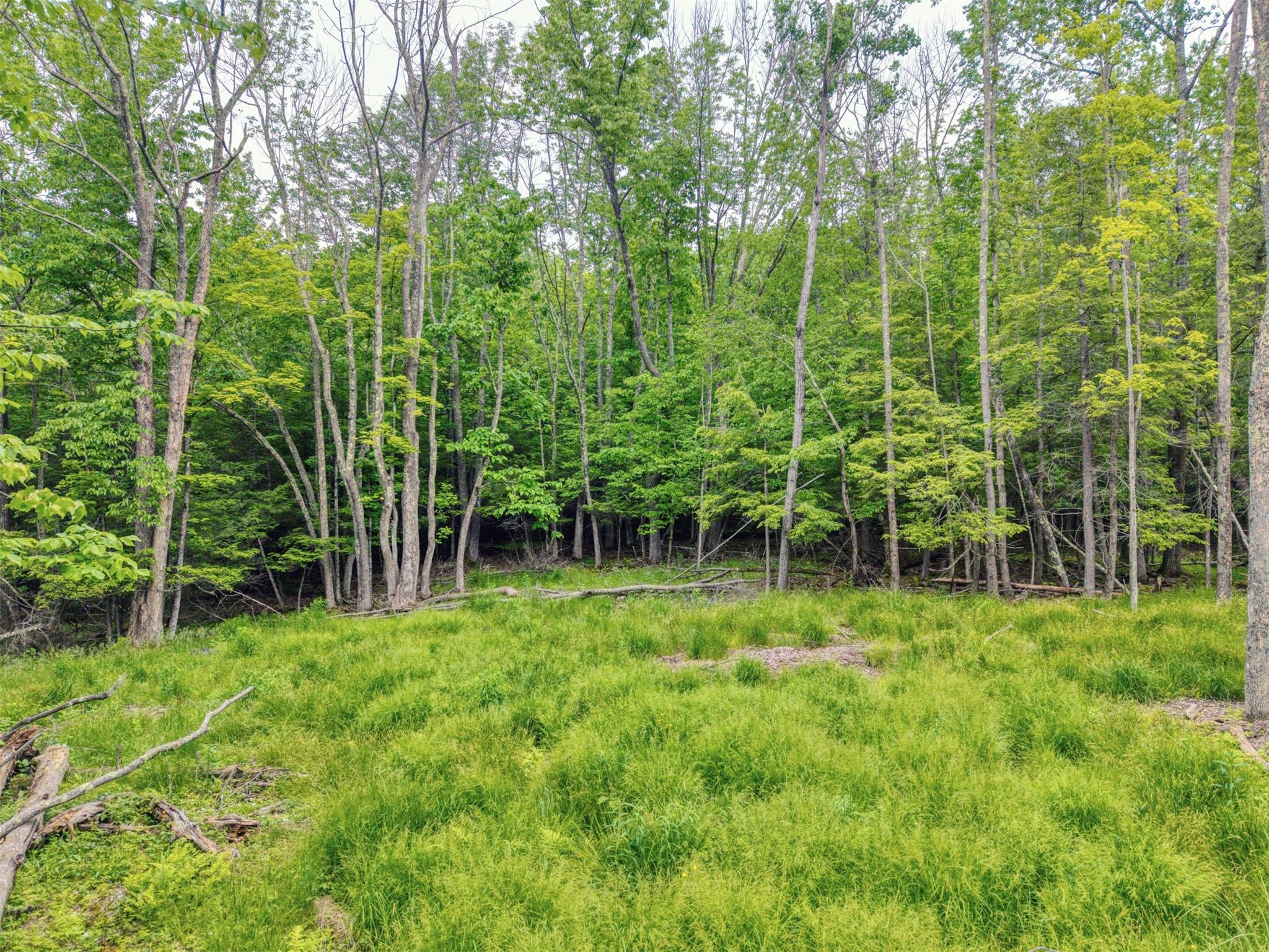 #8 photo, TBD Boulder Brook lot B12 Road, Windham , NY 12496