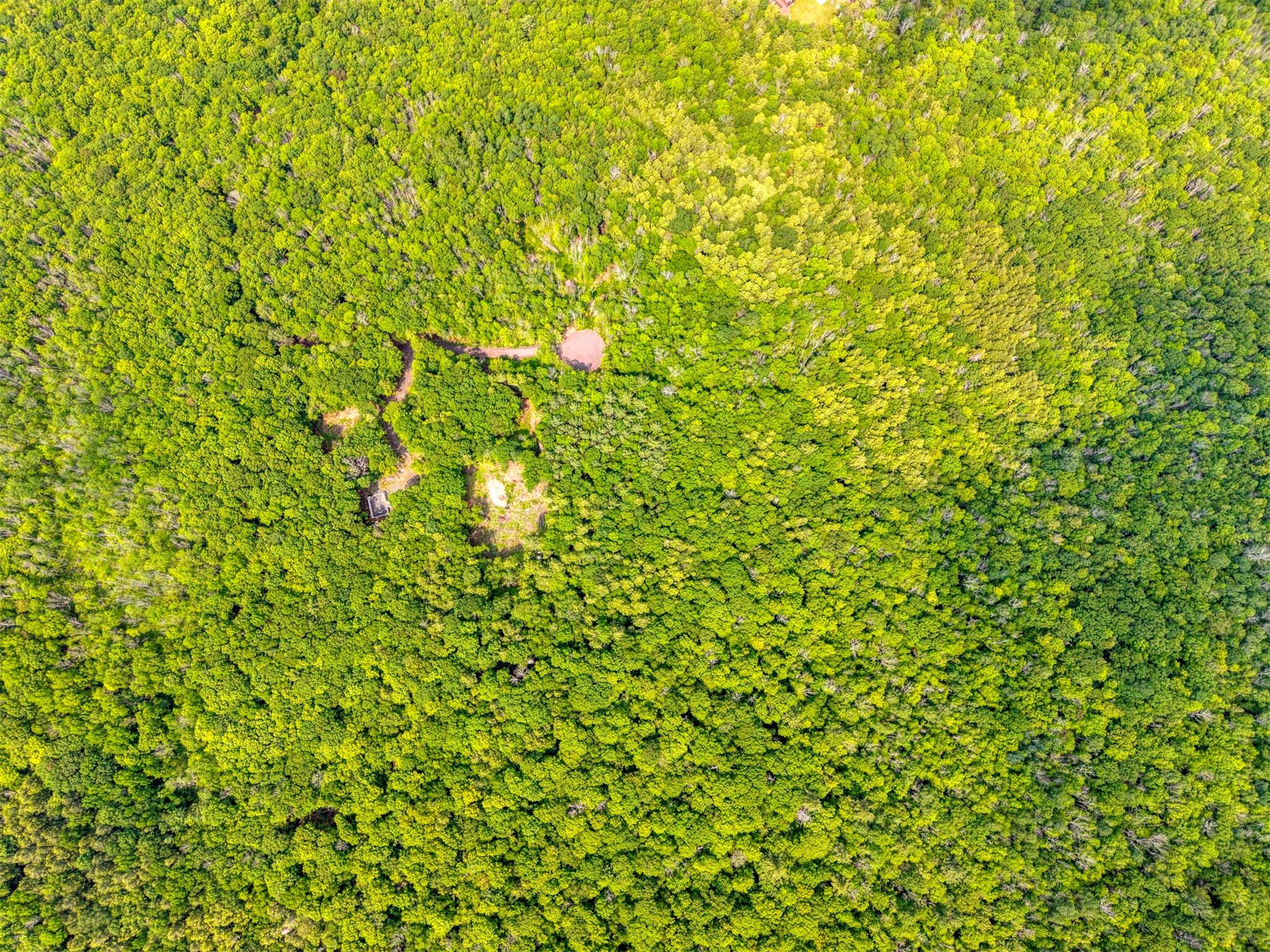 #18 photo, TBD Boulder Brook lot B14 Road, Windham , NY 12496