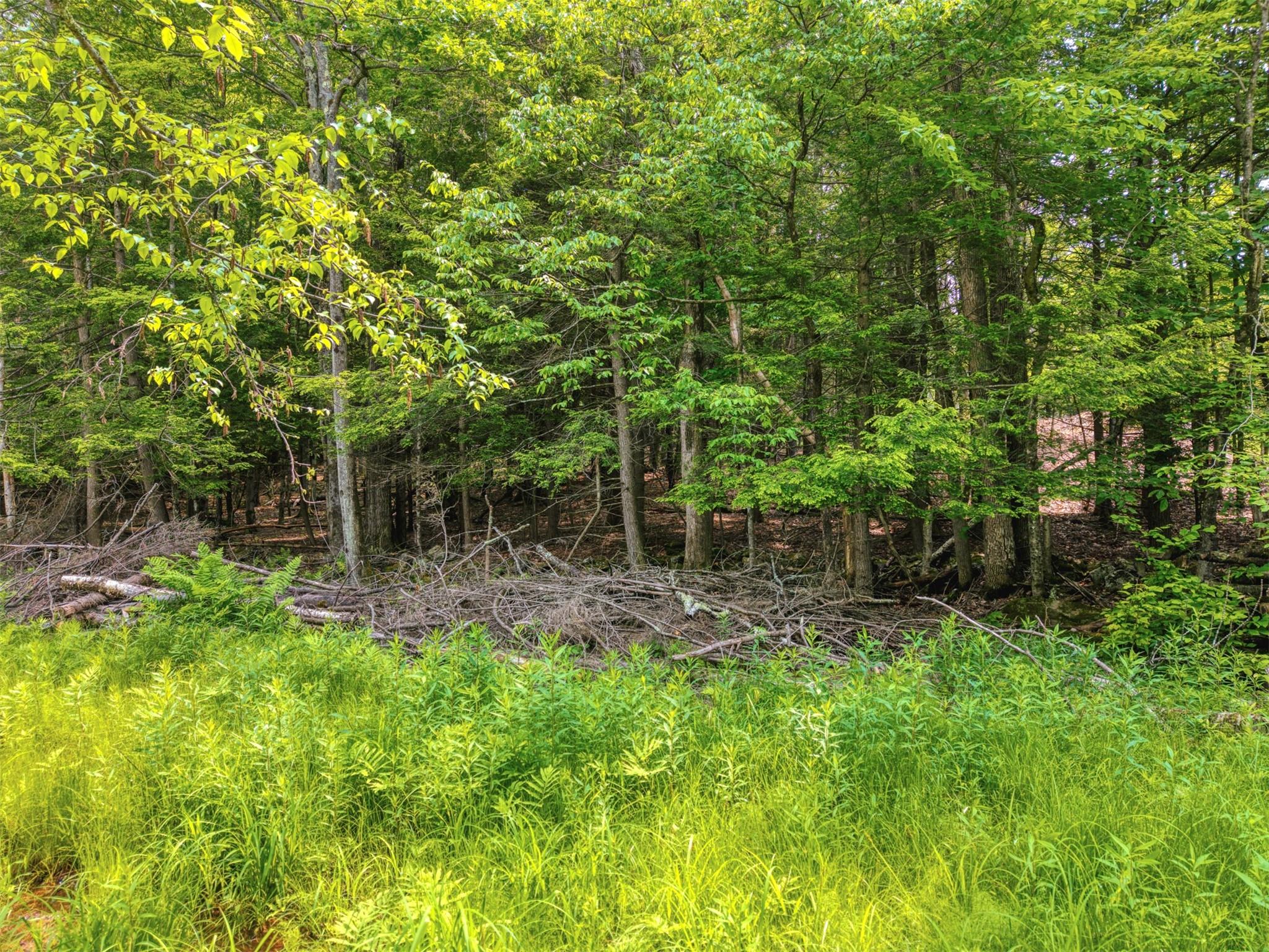 #4 photo, TBD Boulder Brook lot B14 Road, Windham , NY 12496