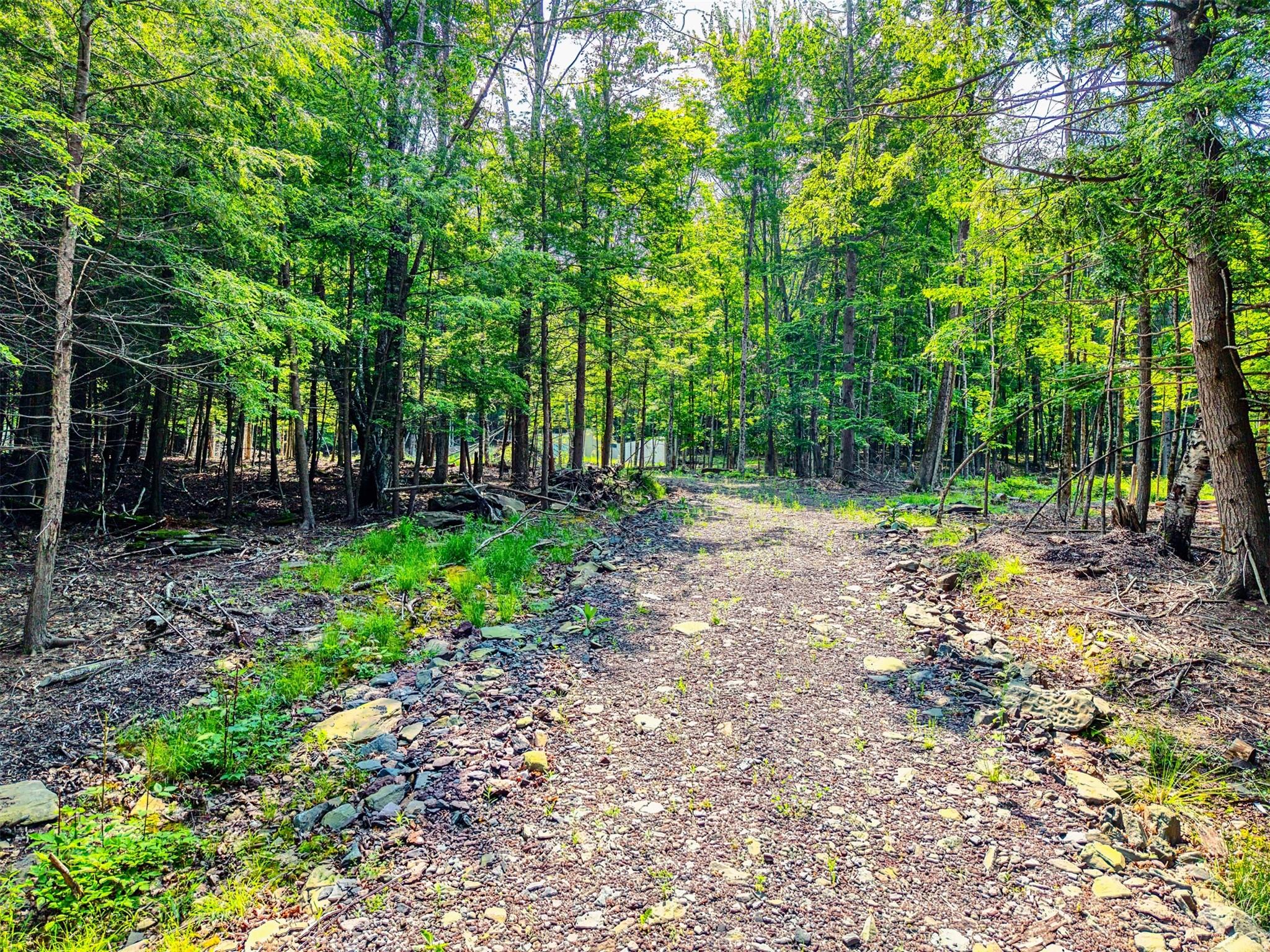 #15 photo, TBD Lot 8 Boulder Brook Road, Windham , NY 12496