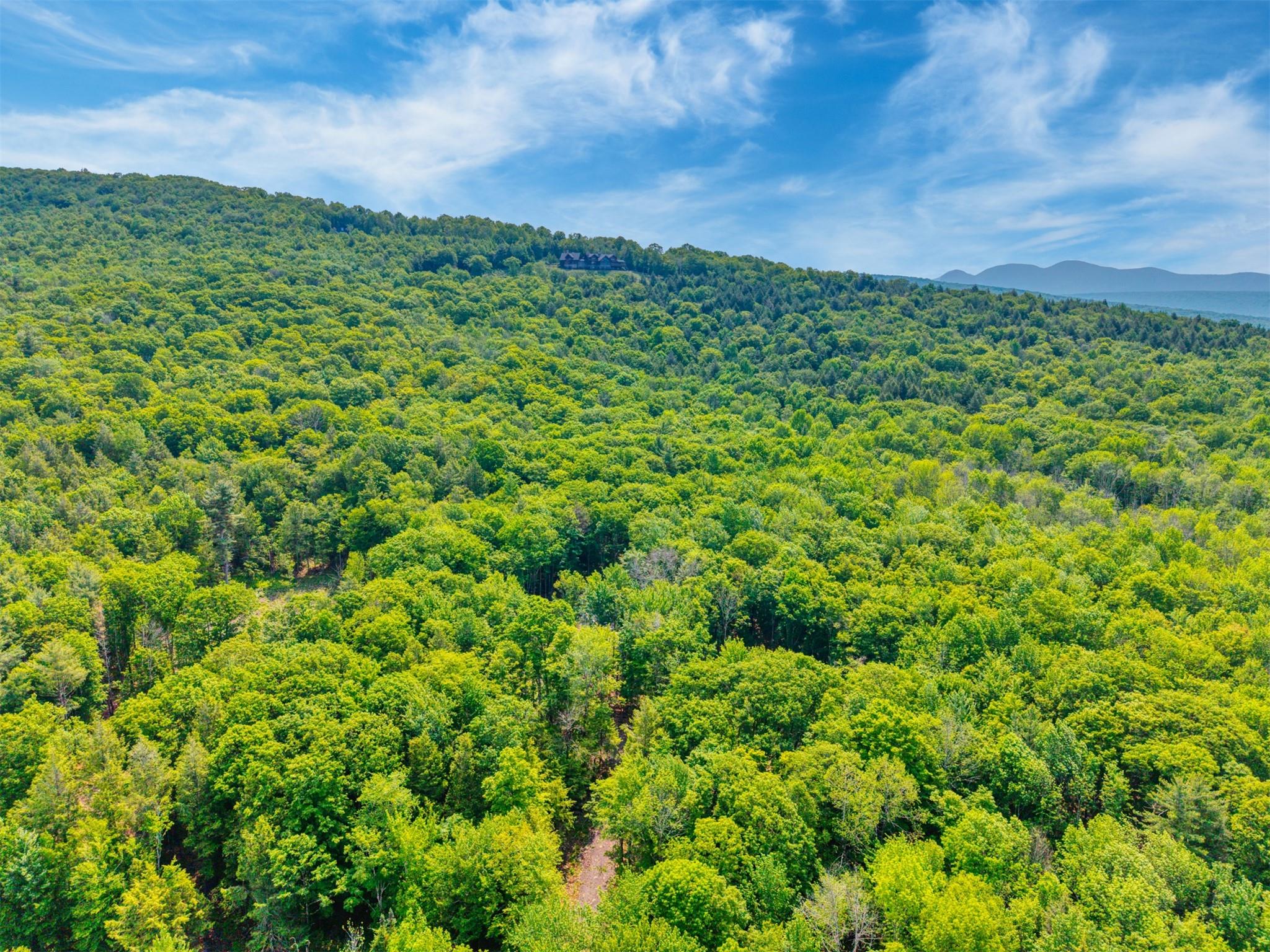 #19 photo, TBD Lot 8 Boulder Brook Road, Windham , NY 12496