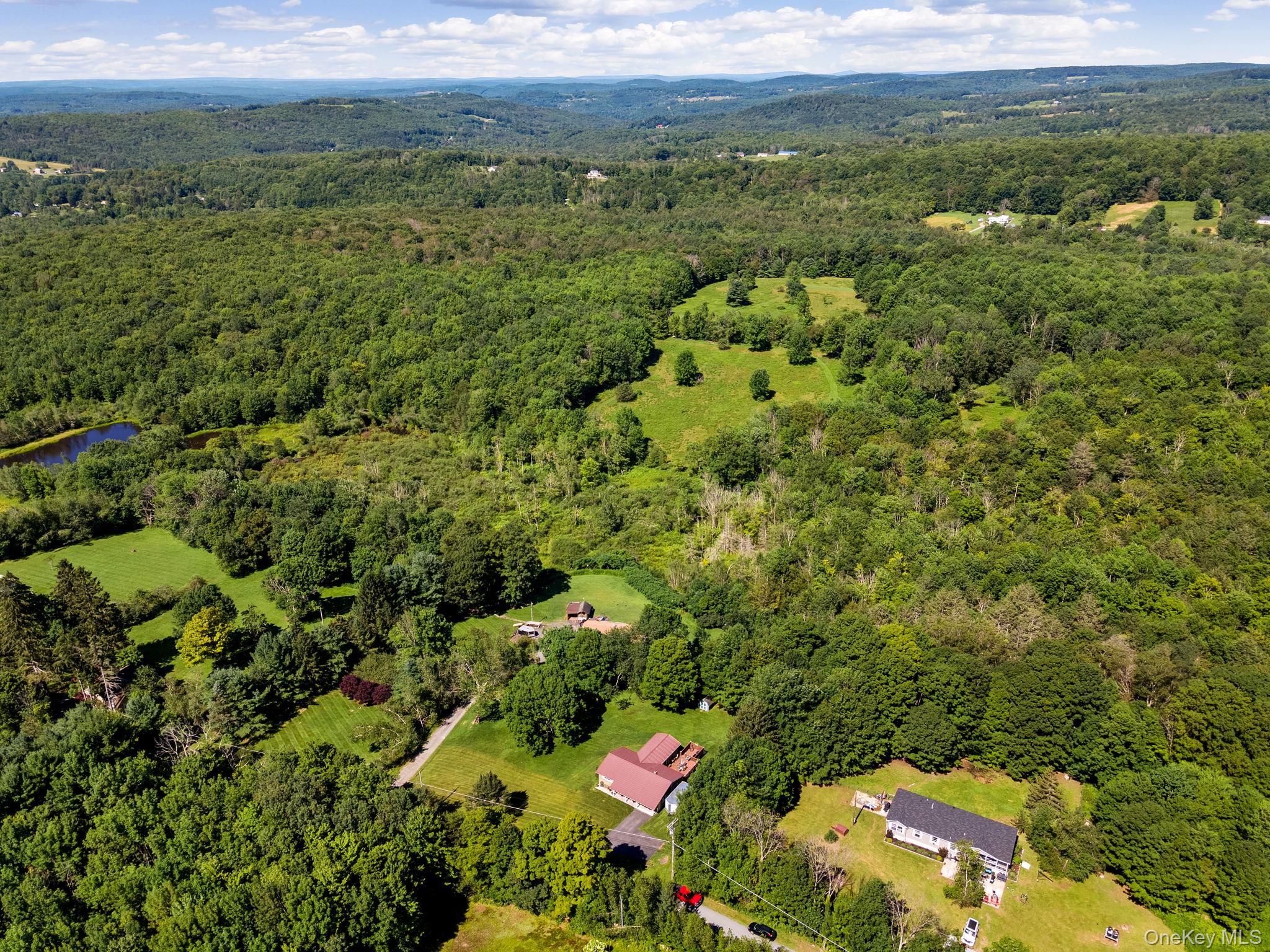 #2 photo, 788 Fox Mountain Road, White Sulphur Spring , NY 12758