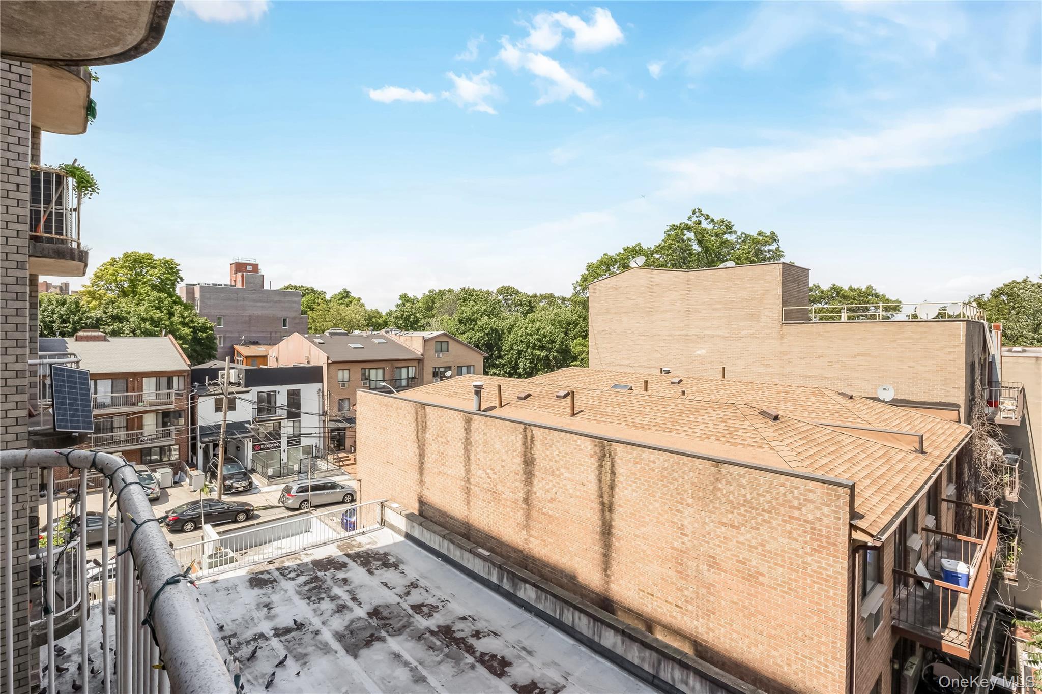 #17 photo, 7601 113th Street, 皇后區 森林小丘 Forest Hills , NY 11375