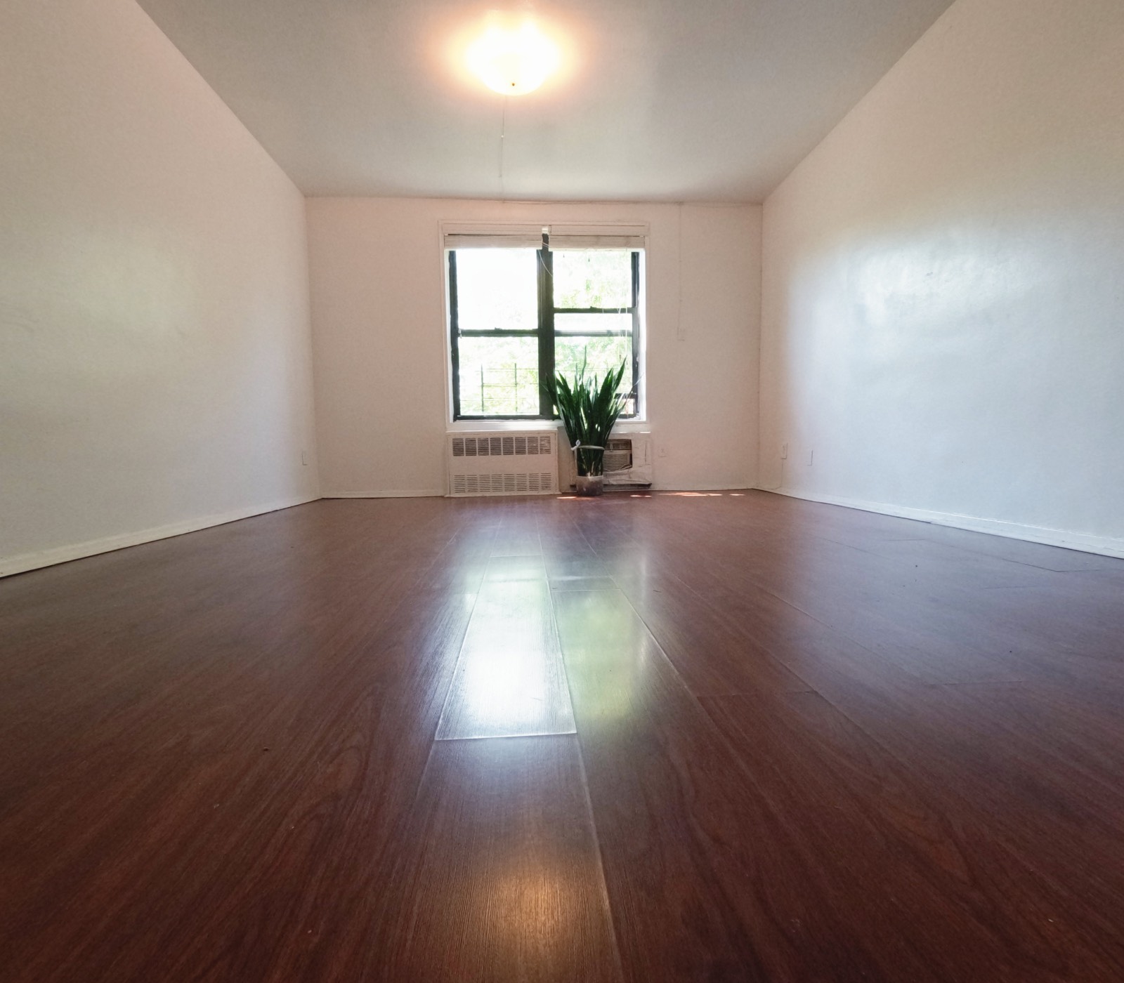 #9 photo, 78-06 46th Ave, #2J, クイーンズ区 Elmhurst , NY 11373