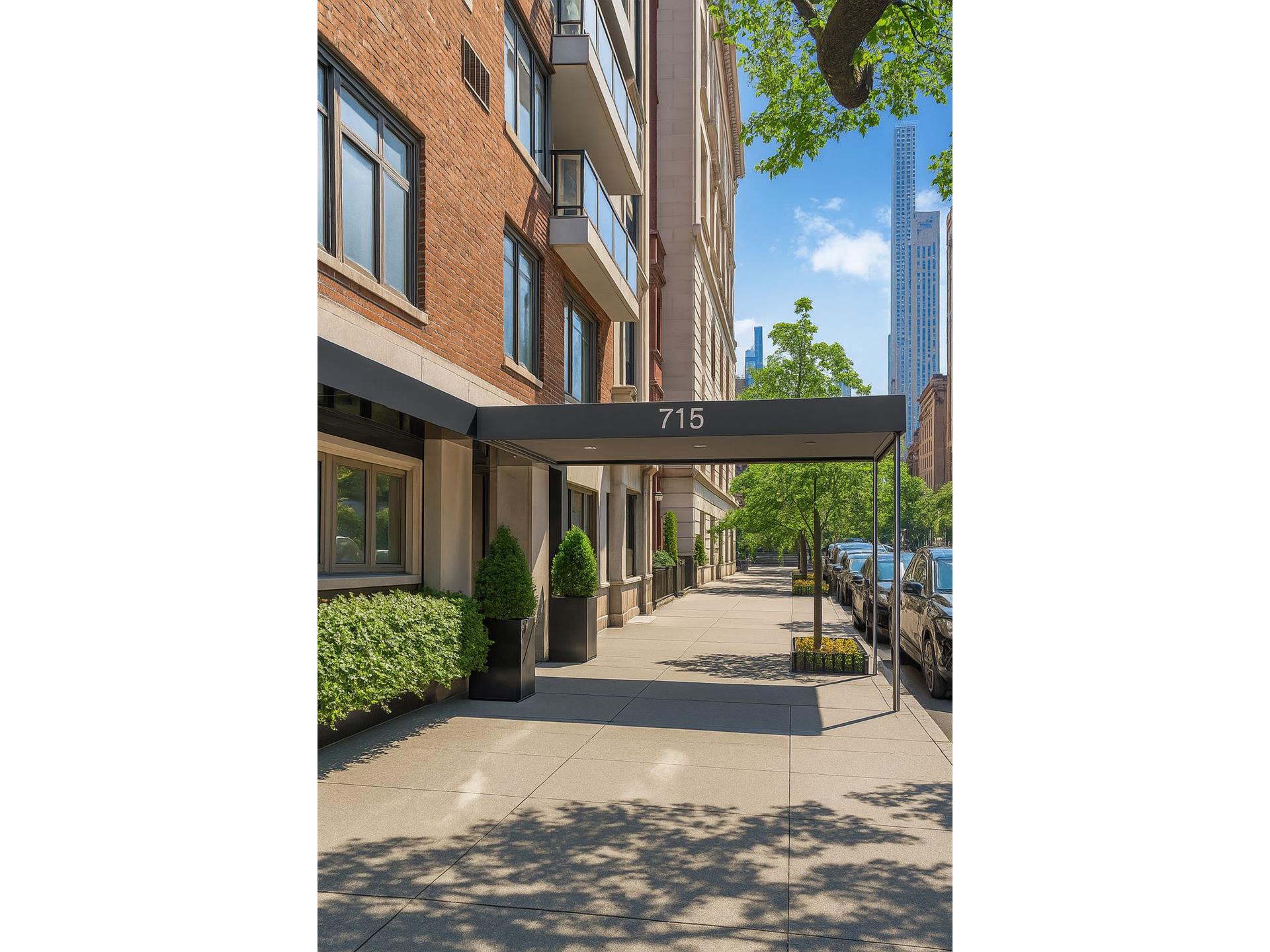 #18 photo, 715 PARK Avenue, マンハッタン Lenox Hill , NY 10021