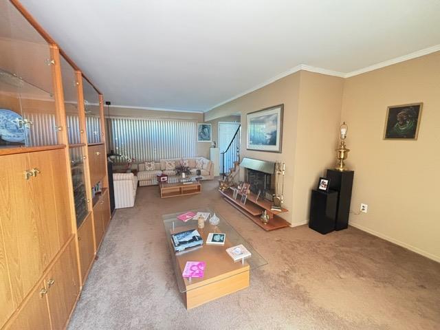 #14 photo, Copiague, Copiague , NY 11726