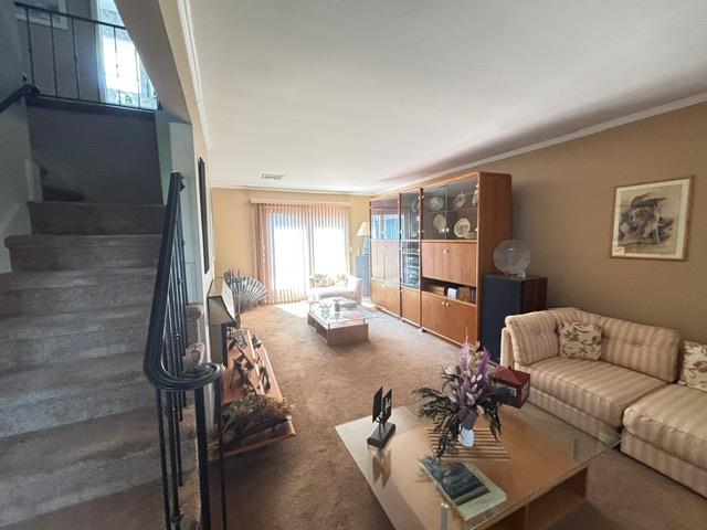 #16 photo, Copiague, Copiague , NY 11726