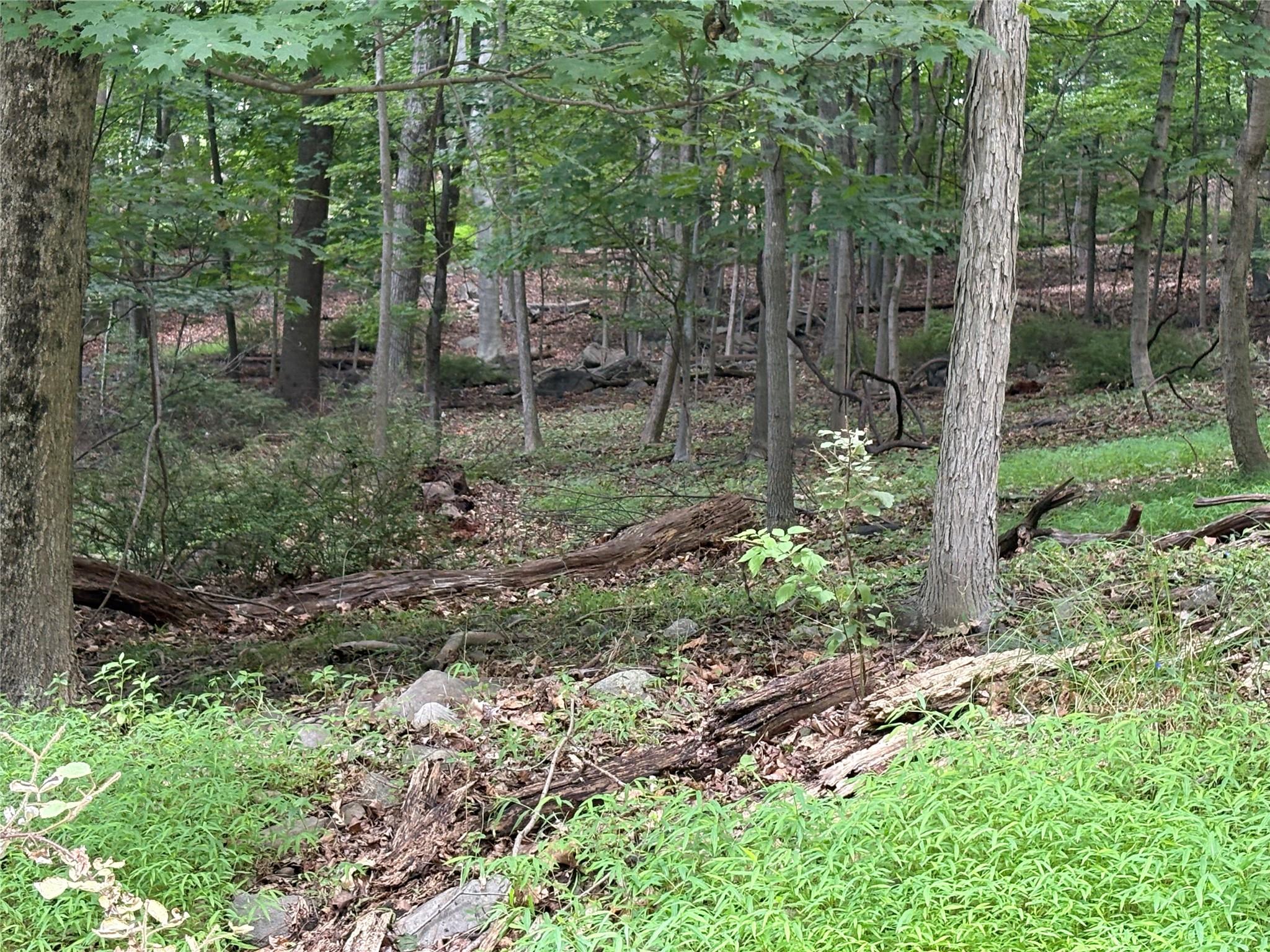 #16 photo, 36 Clausland Mountain Road, Blauvelt , NY 10913