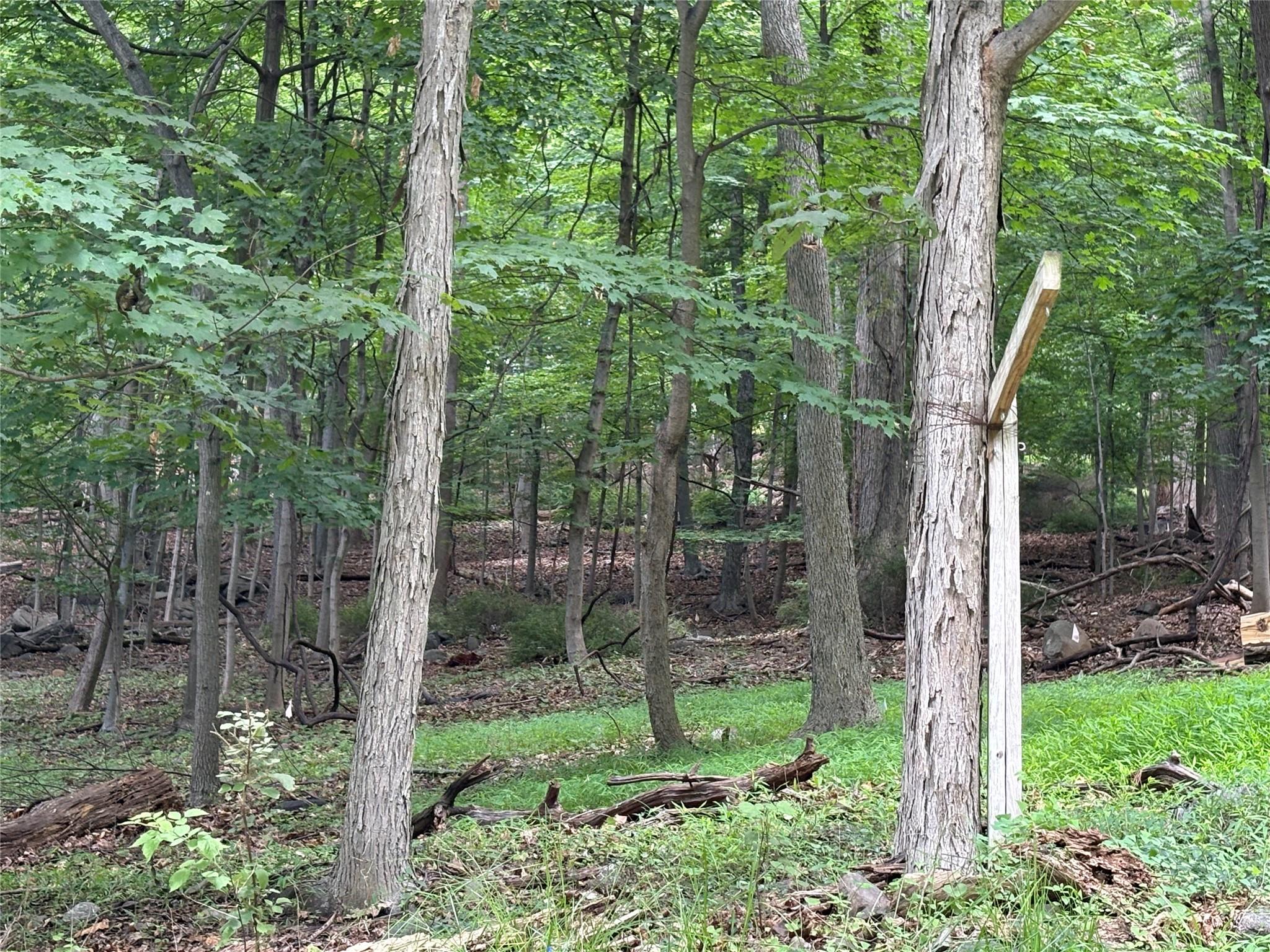 #17 photo, 36 Clausland Mountain Road, Blauvelt , NY 10913