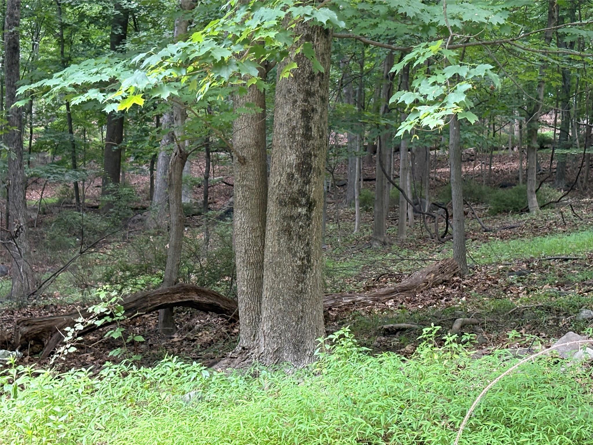 #18 photo, 36 Clausland Mountain Road, Blauvelt , NY 10913