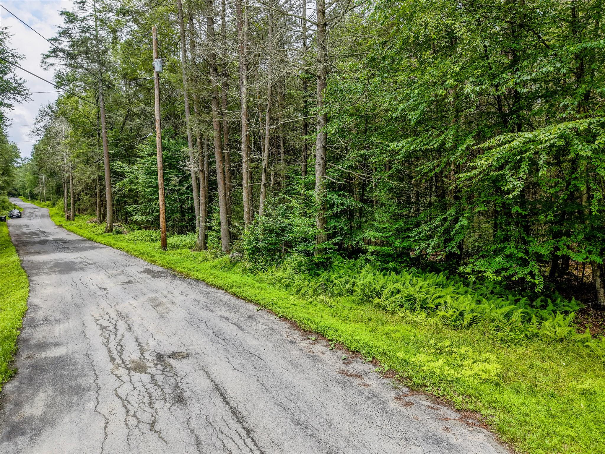 #7 photo, Leins Road, Woodbourne , NY 12733