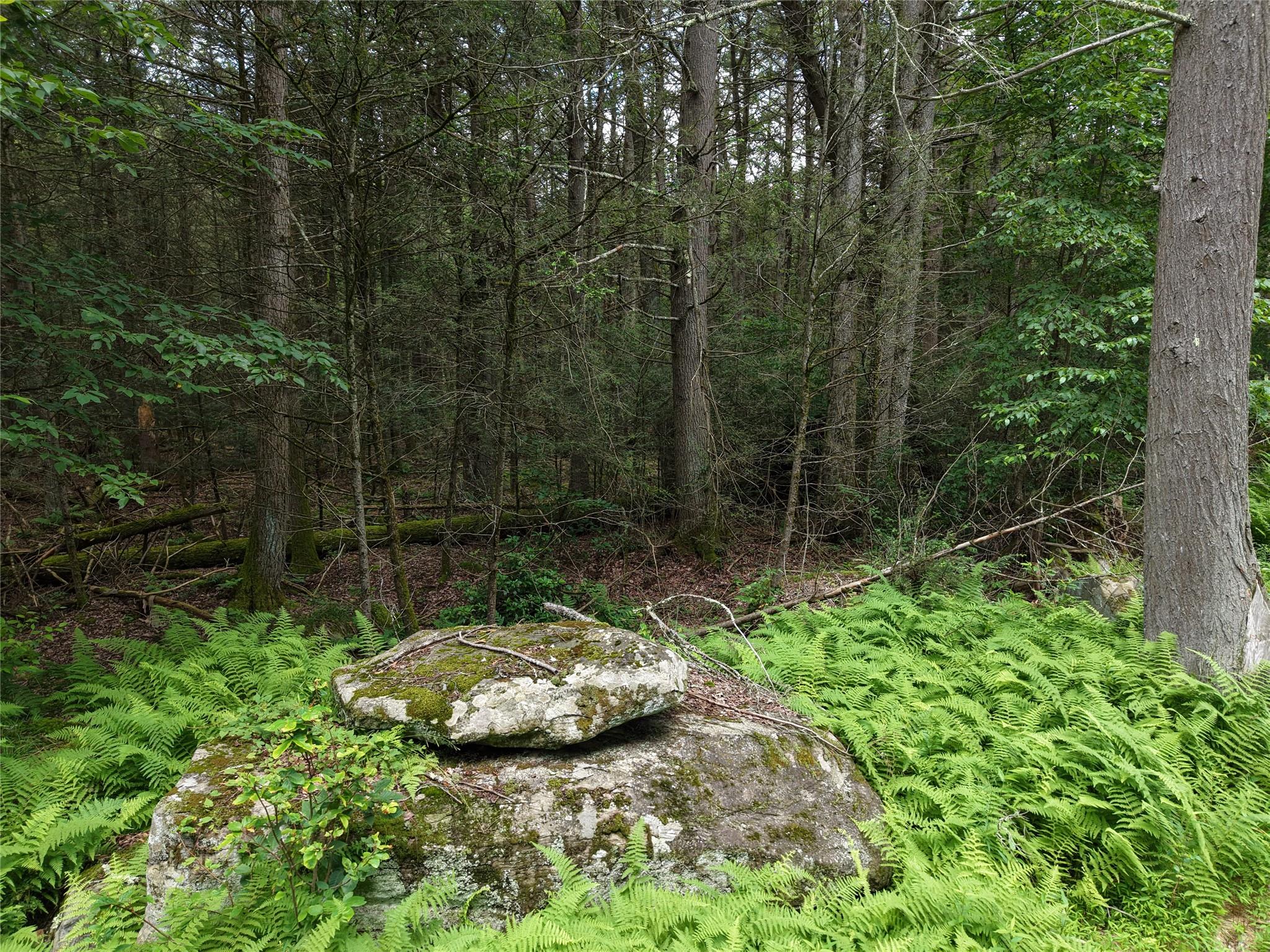 #9 photo, Leins Road, Woodbourne , NY 12733