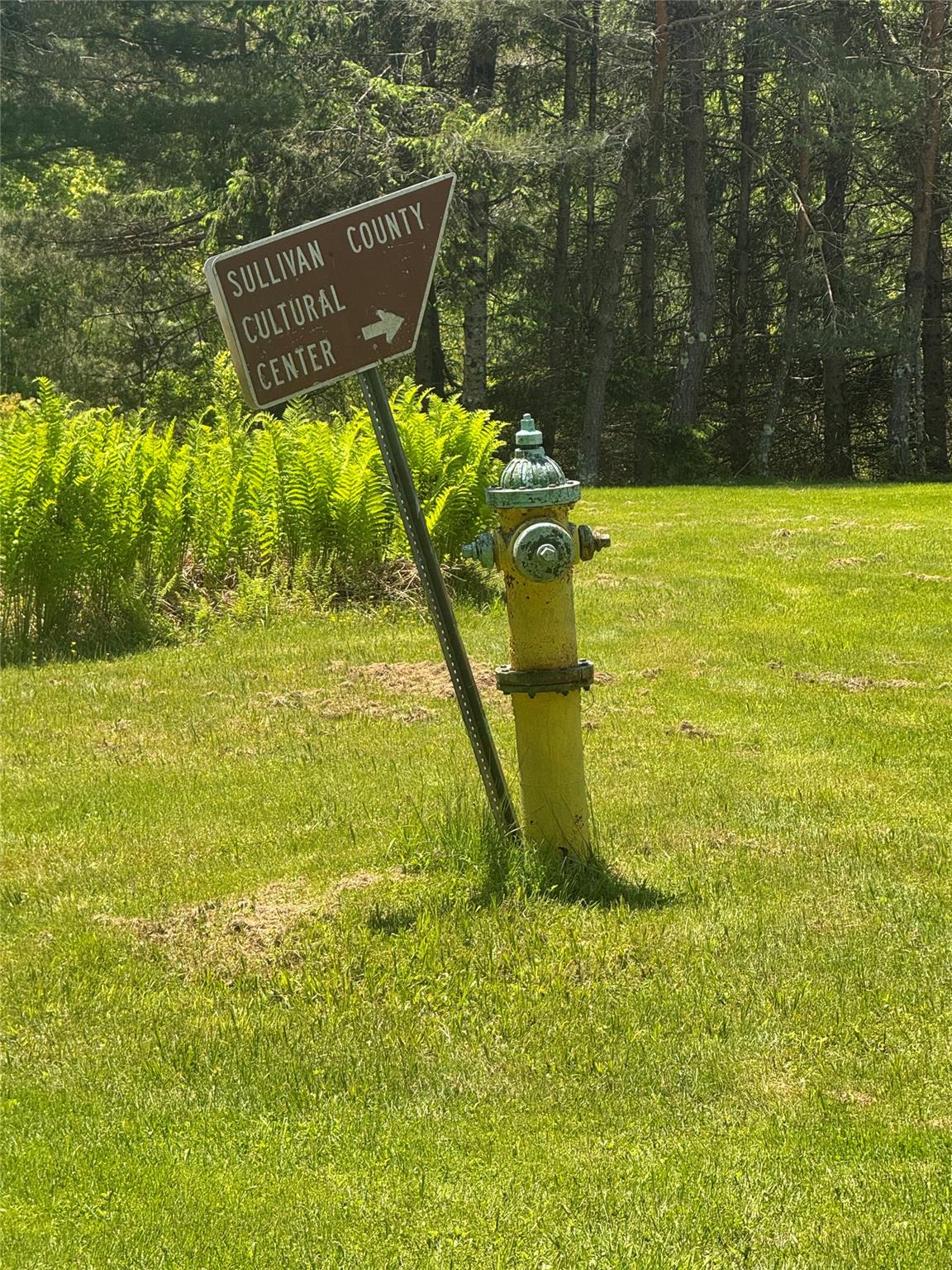 #20 photo, 111 Old Lilly Pond Road, Parksville , NY 12768