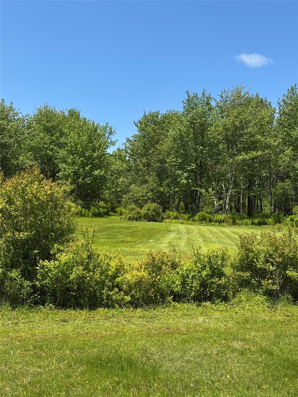 #7 photo, 111 Old Lilly Pond Road, Parksville , NY 12768