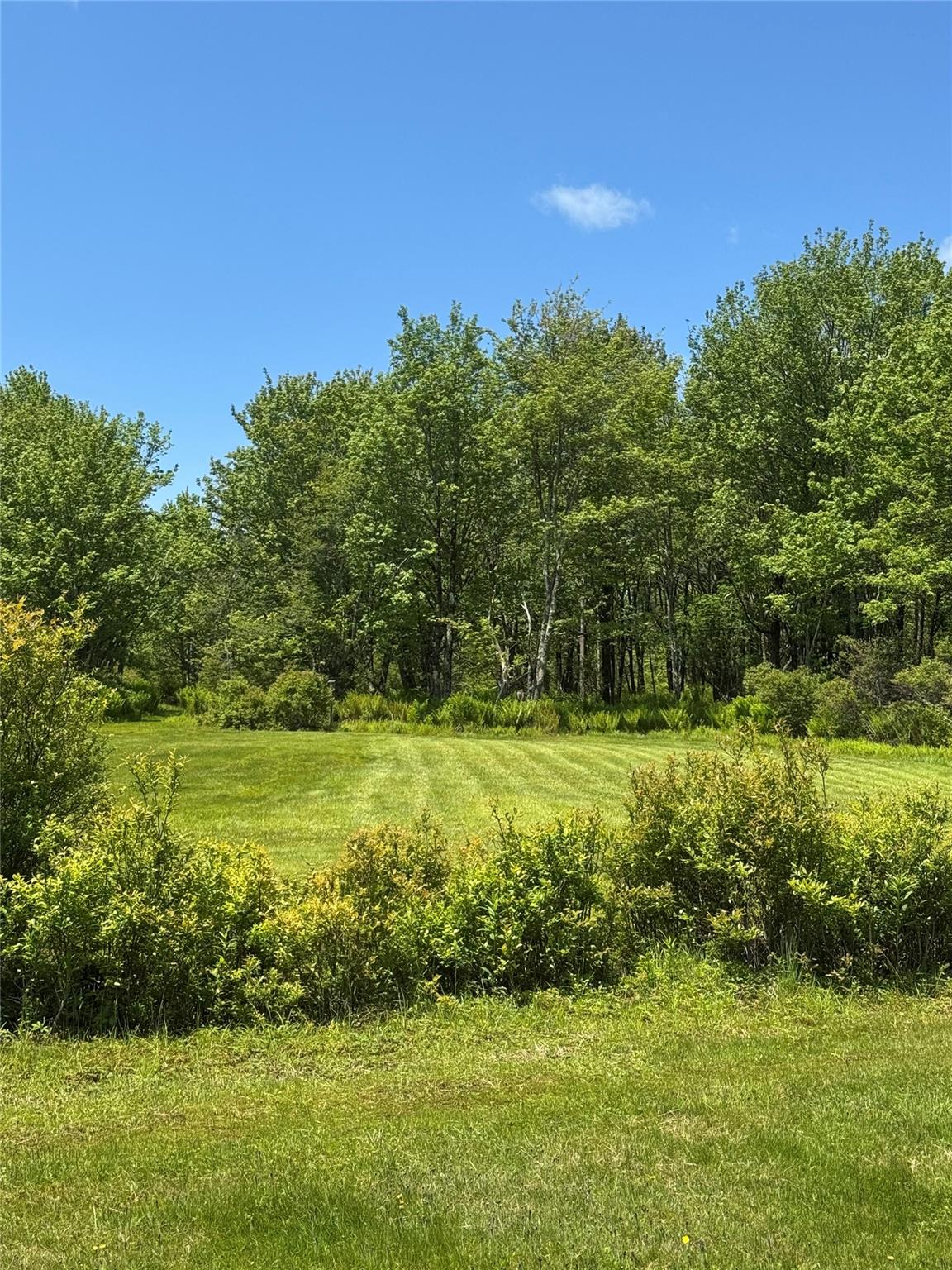 #8 photo, 111 Old Lilly Pond Road, Parksville , NY 12768