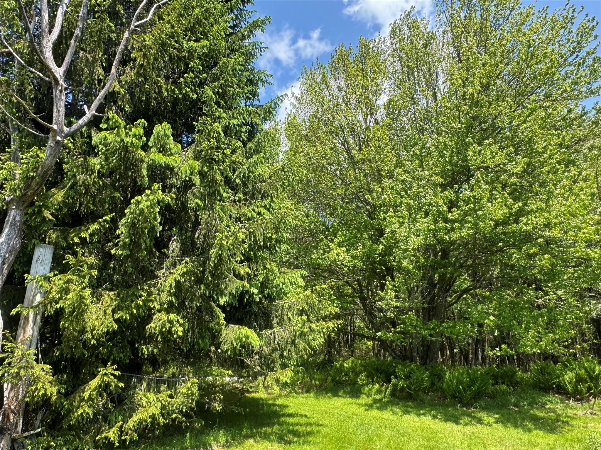 #9 photo, 111 Old Lilly Pond Road, Parksville , NY 12768