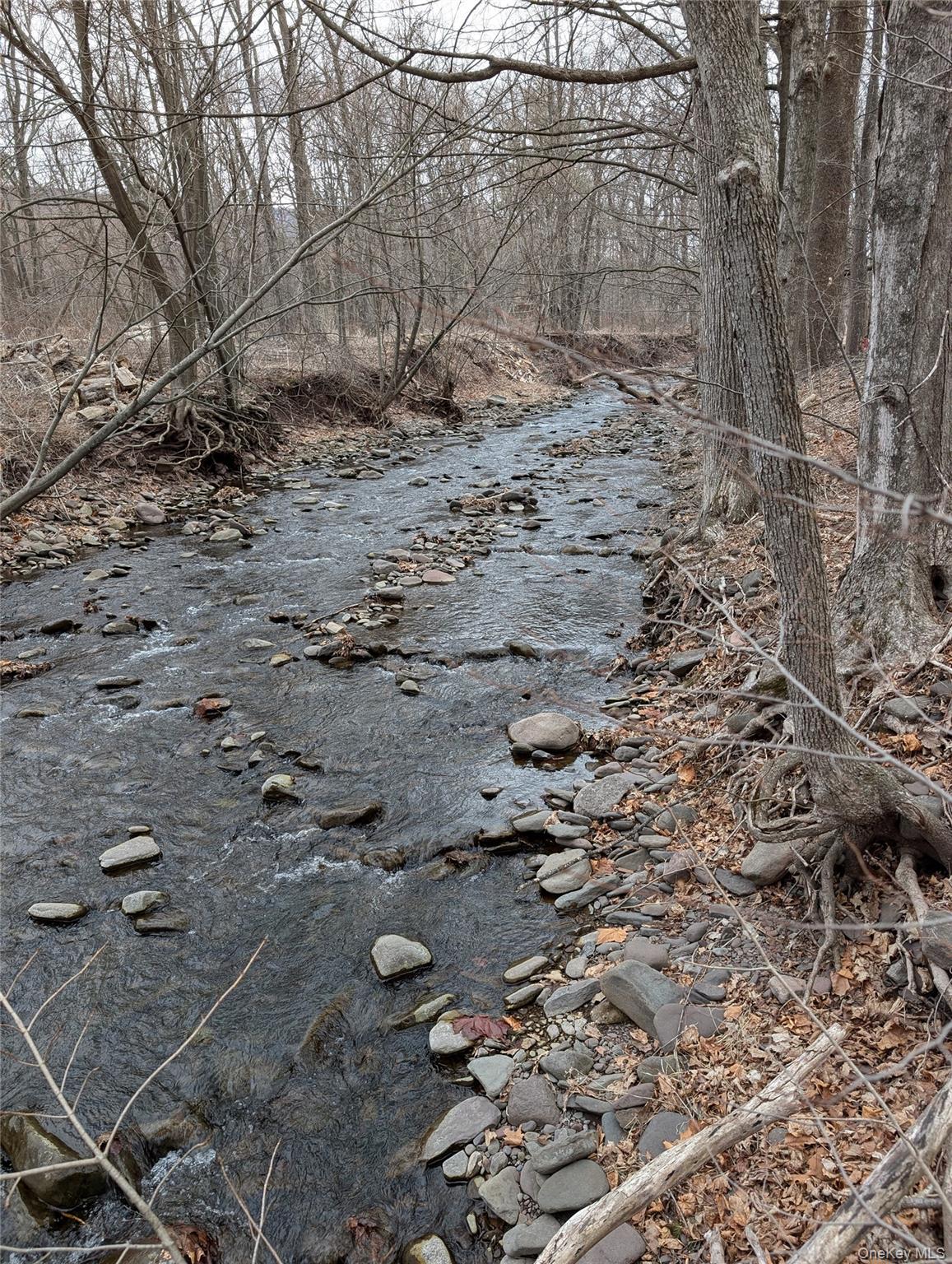 #2 photo, 549 Hearts Content Road, Cairo , NY 12473