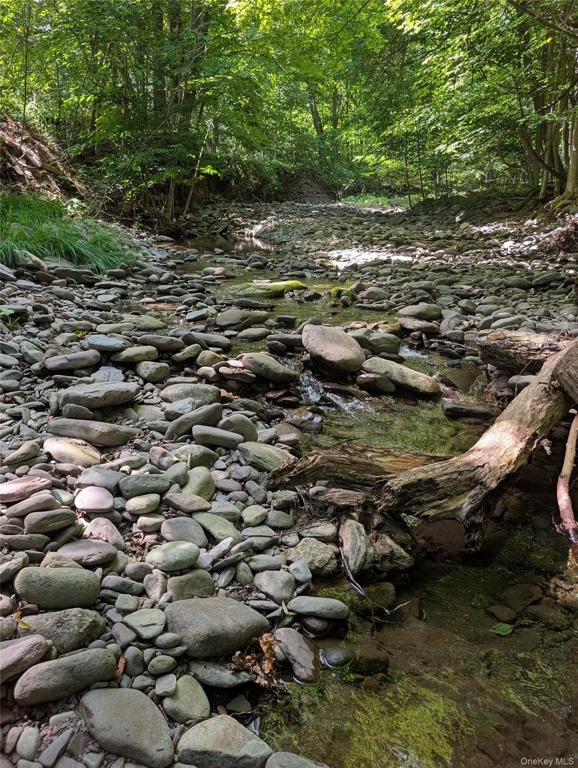 #4 photo, 549 Hearts Content Road, Cairo , NY 12473