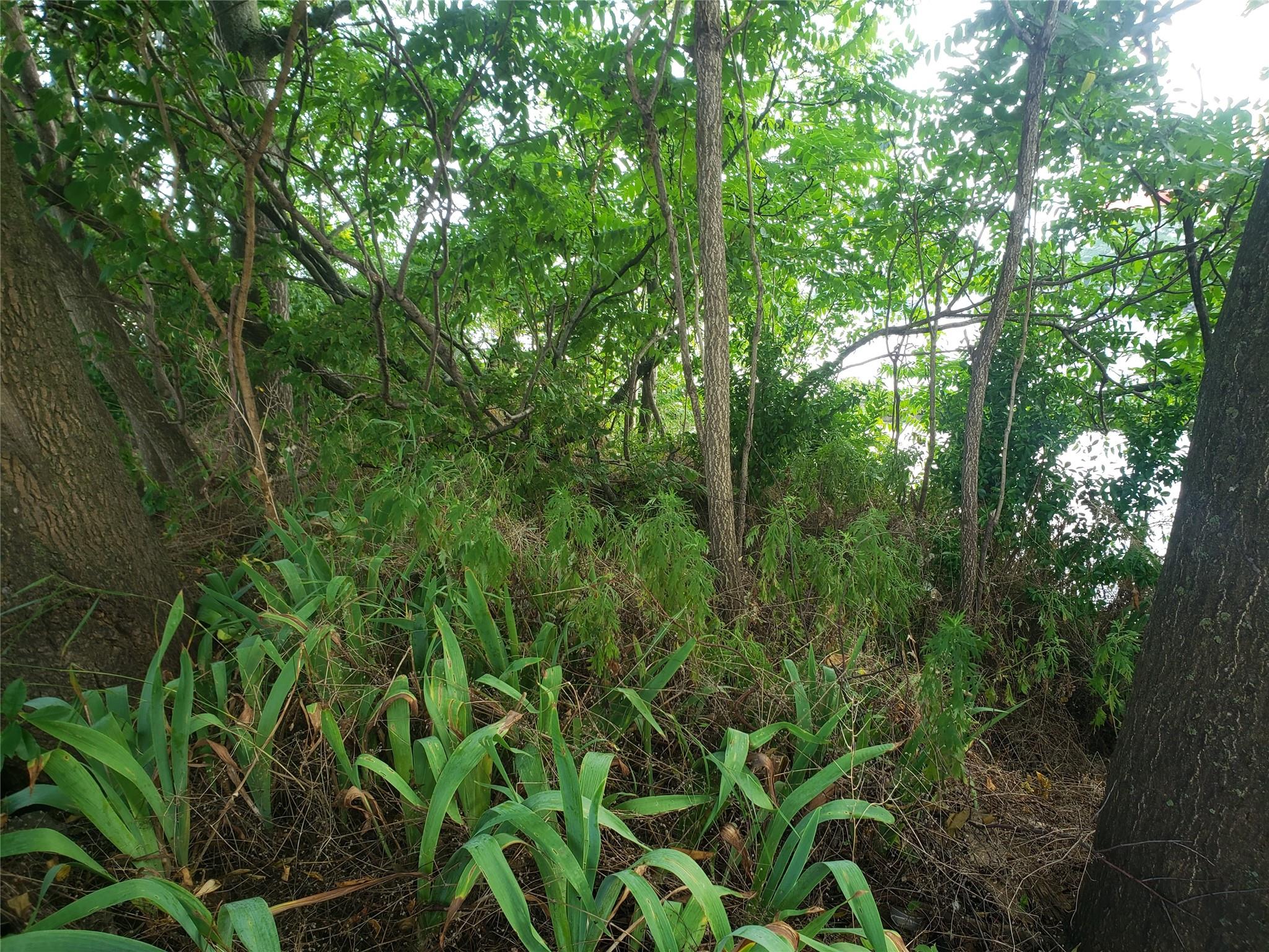 #8 photo, 103 Fane Court, ブルックリン区 Brooklyn , NY 