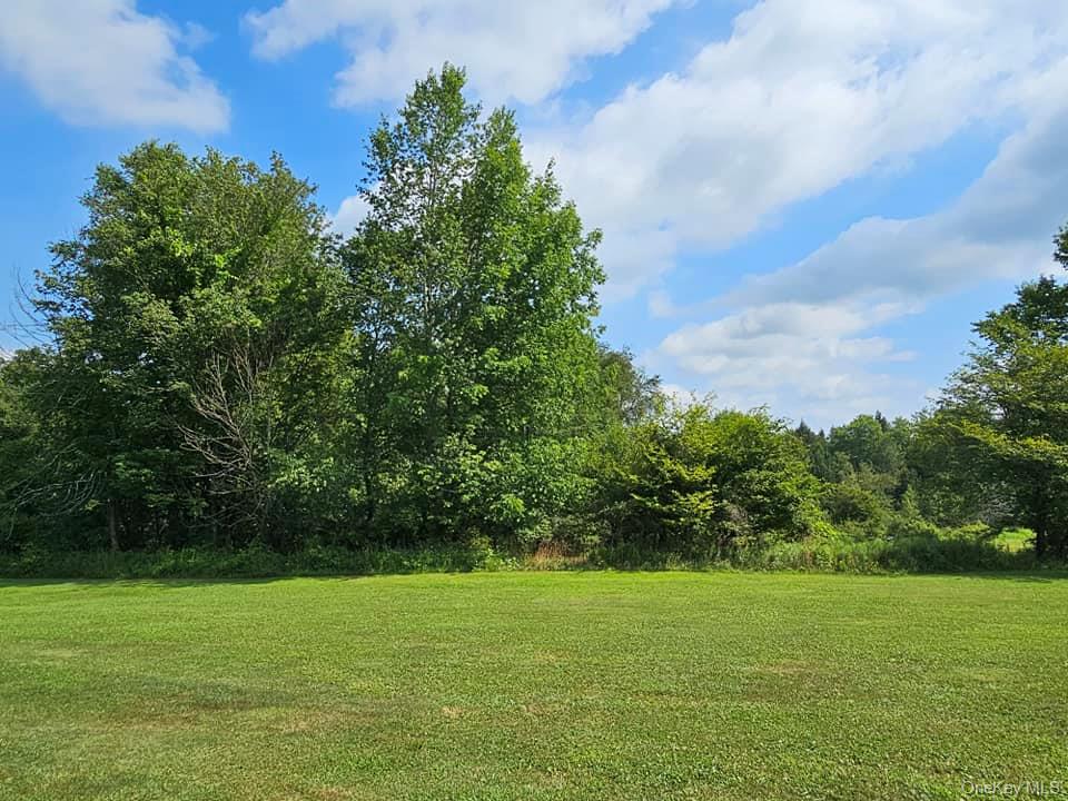 #18 photo, 174 Fulton Hill Road, Callicoon , NY 12723