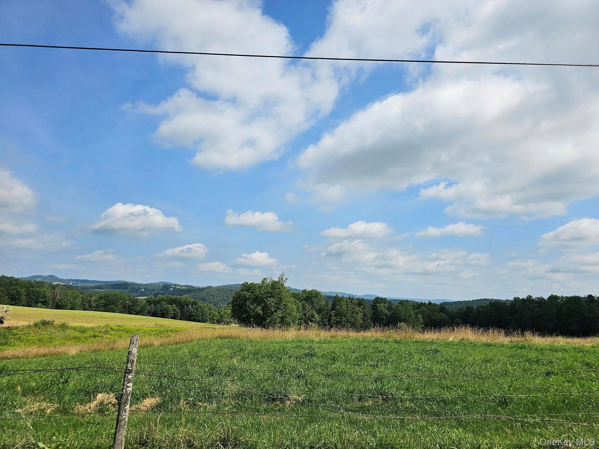 #20 photo, 174 Fulton Hill Road, Callicoon , NY 12723