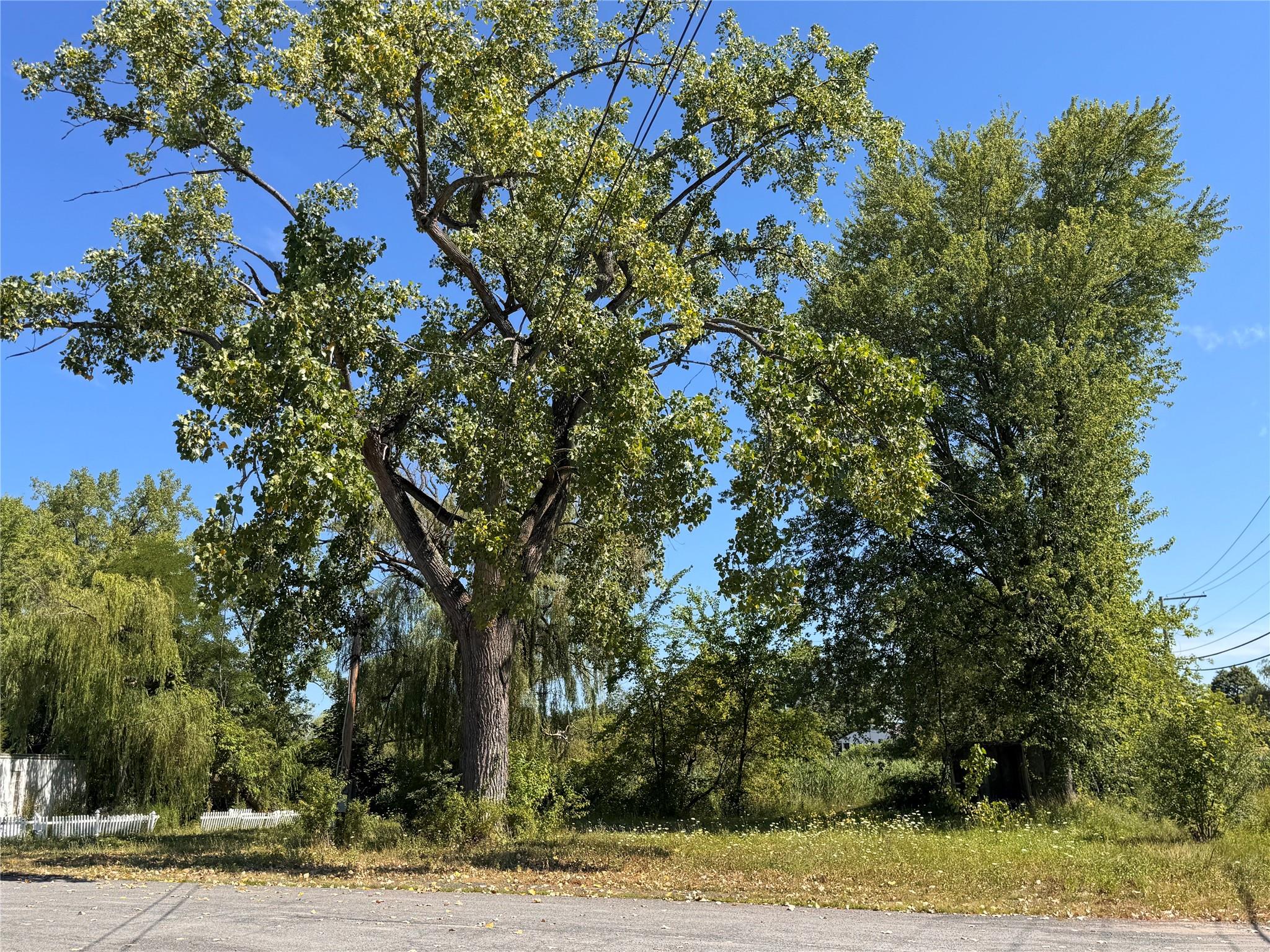 #19 photo, 11559 State Route 9W, Coxsackie , NY 12051