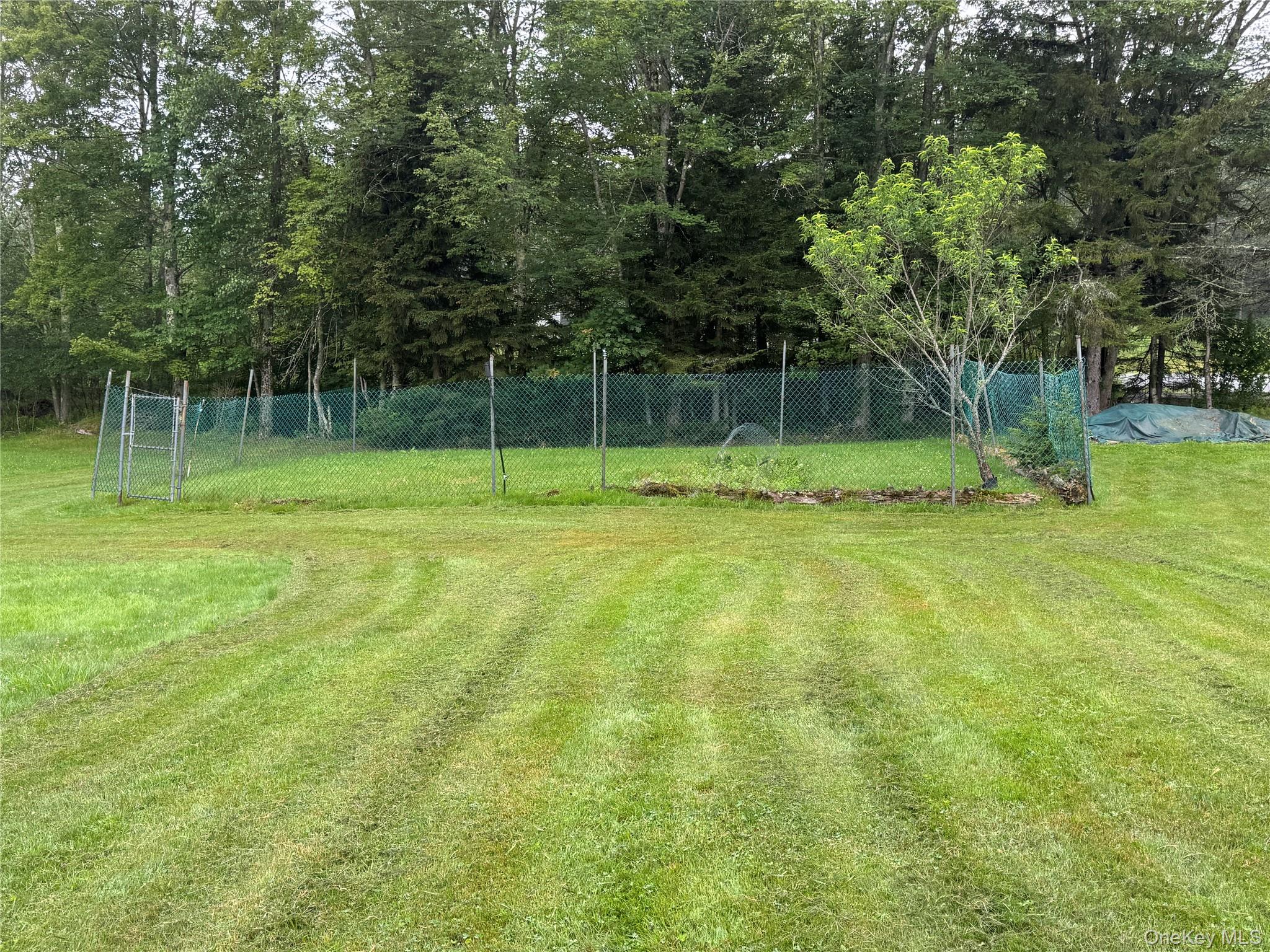 #14 photo, 698 Cooley Road, Parksville , NY 12768