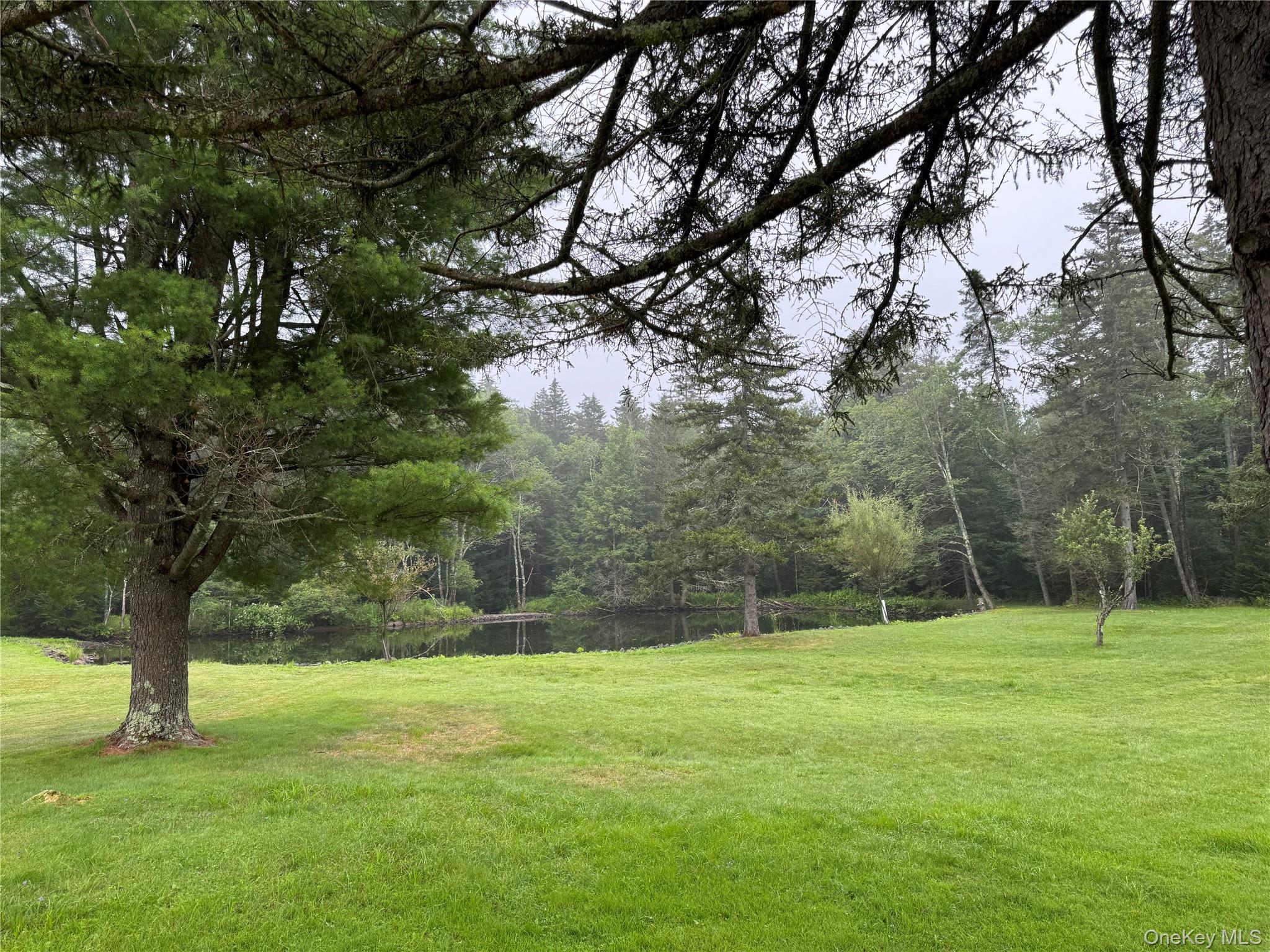 #19 photo, 698 Cooley Road, Parksville , NY 12768