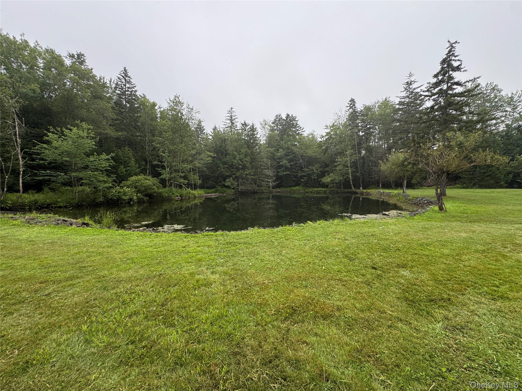 #20 photo, 698 Cooley Road, Parksville , NY 12768