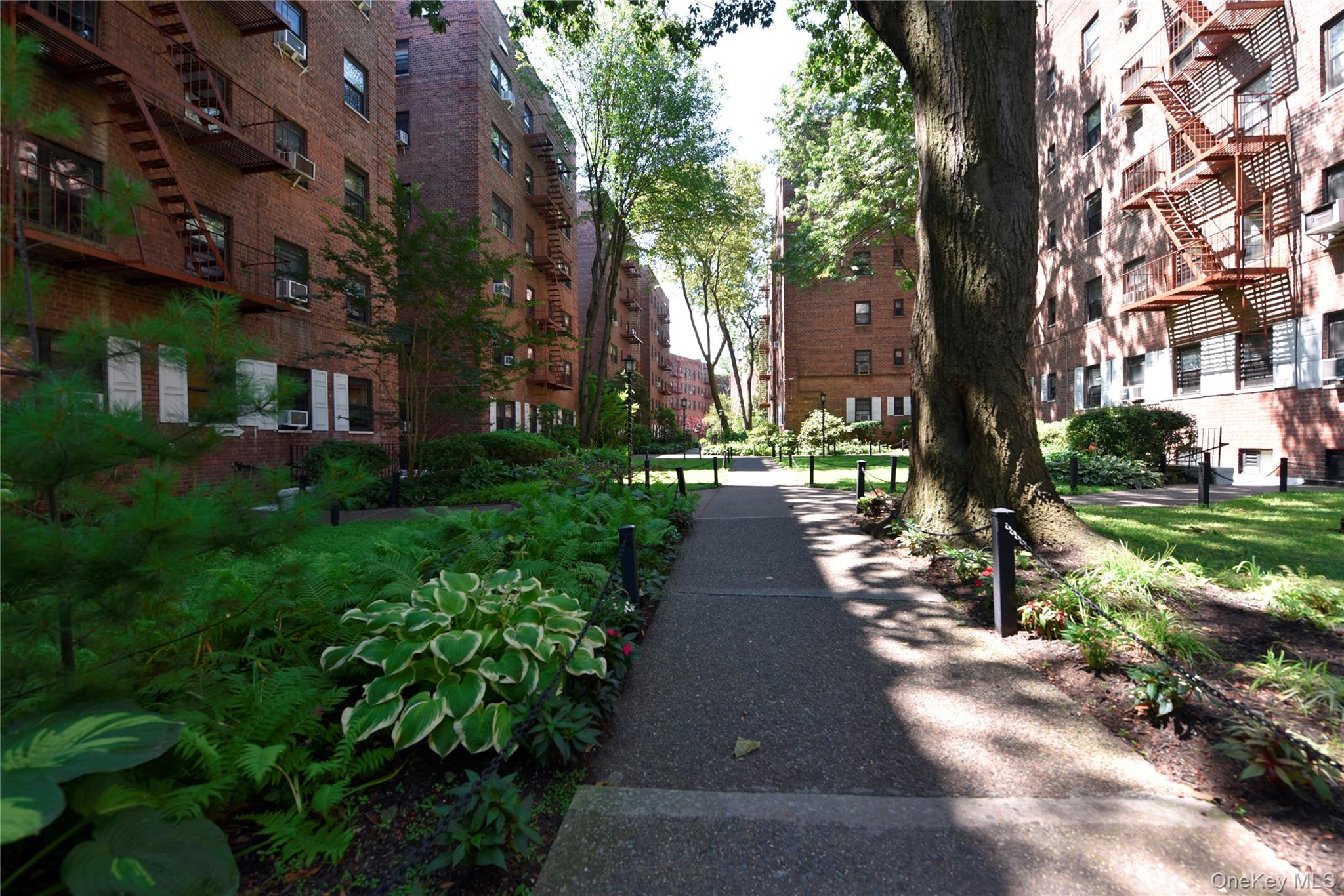 #2 photo, 118-66 Metropolitan Avenue, 皇后區 秋園 Kew Gardens , NY 11415