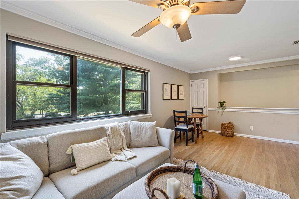 #8 photo, 109 15th, 長島 花園城 Garden City , NY 11530