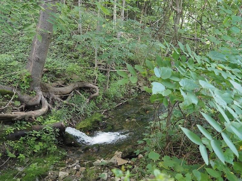 #8 photo, 183 Main St., Sharon Springs , NY 13459