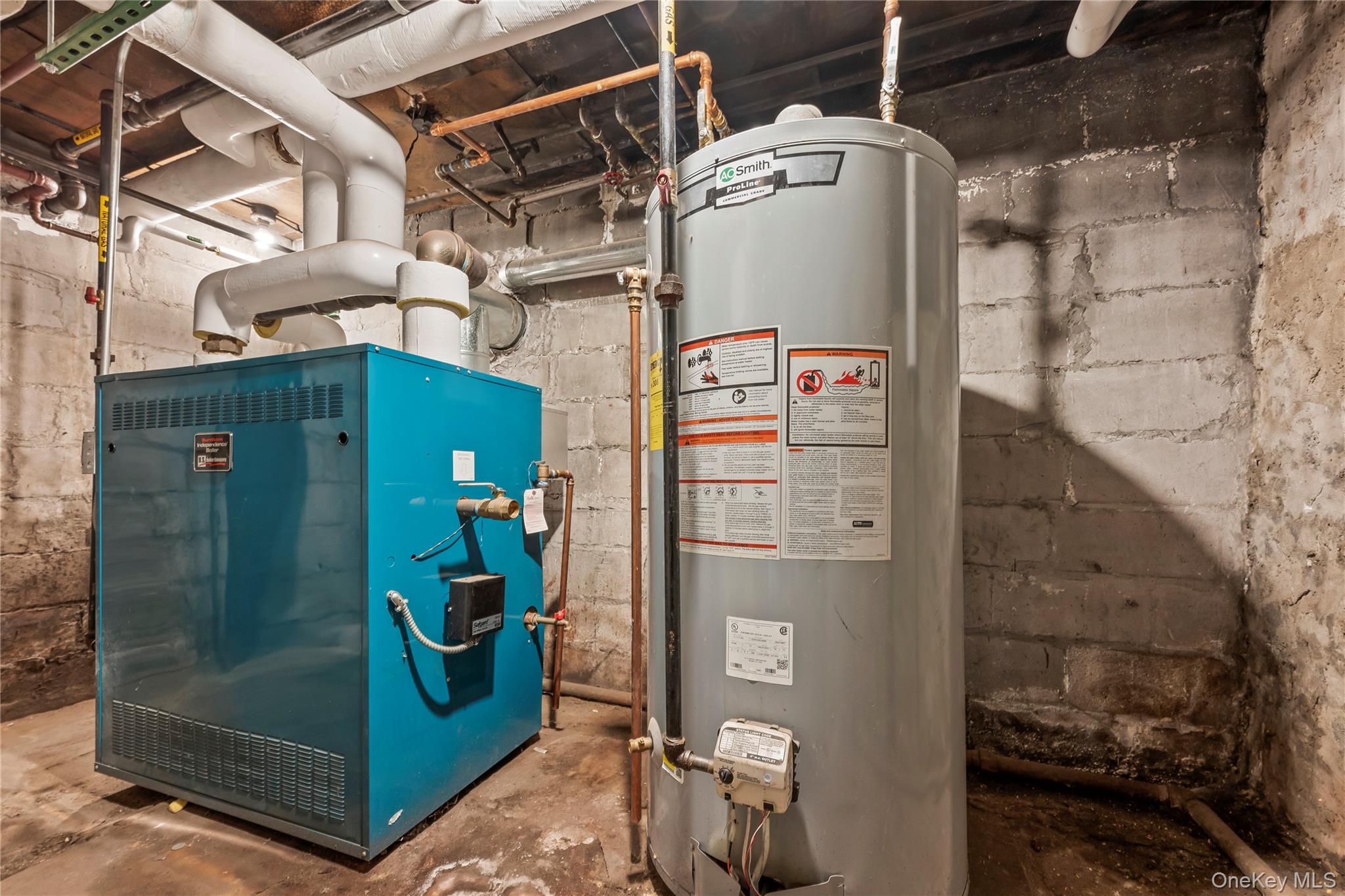 #12 photo, 1517 Jefferson Avenue, ブルックリン区 Brooklyn , NY 11237