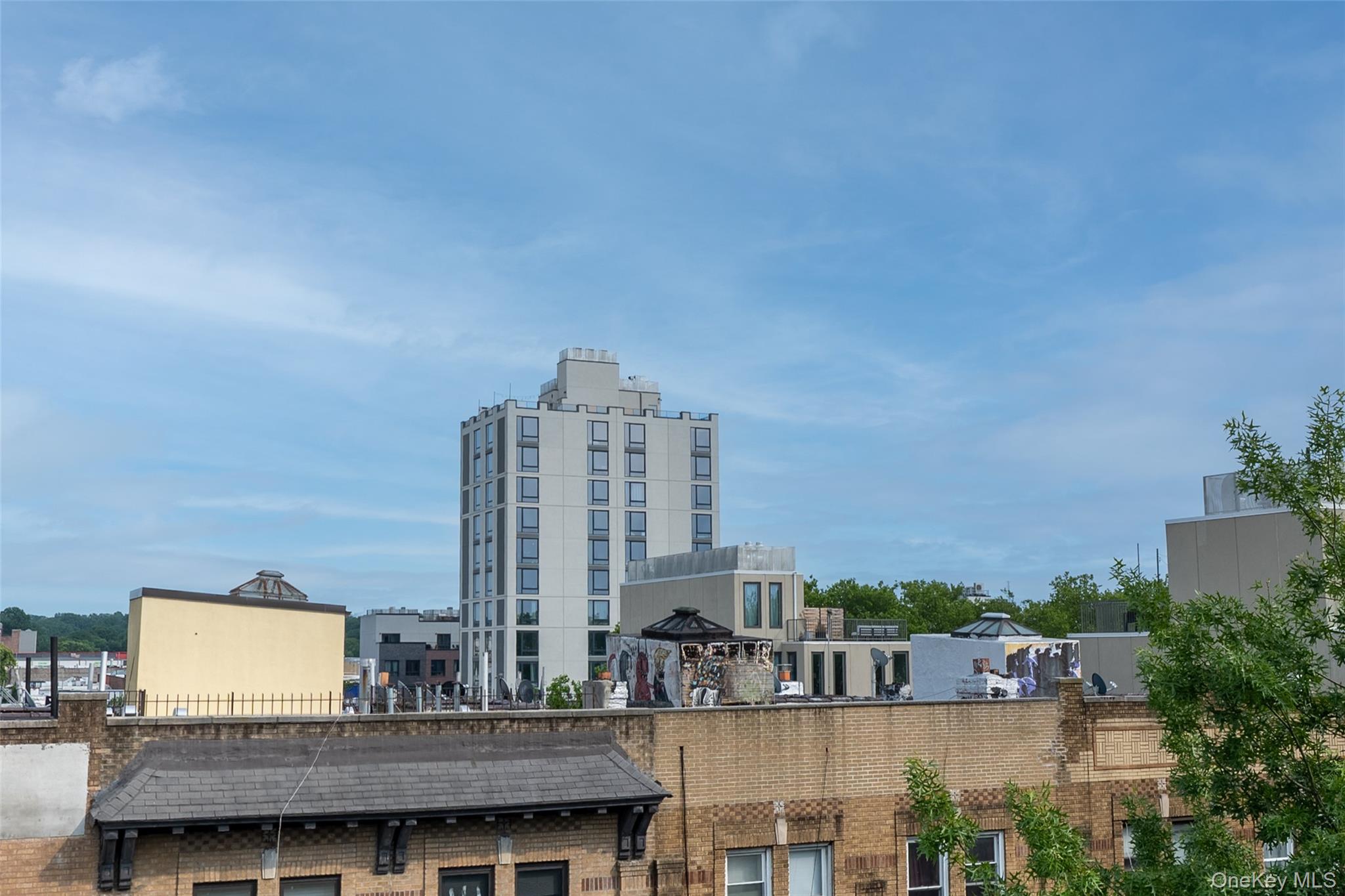 #14 photo, 1517 Jefferson Avenue, ブルックリン区 Brooklyn , NY 11237