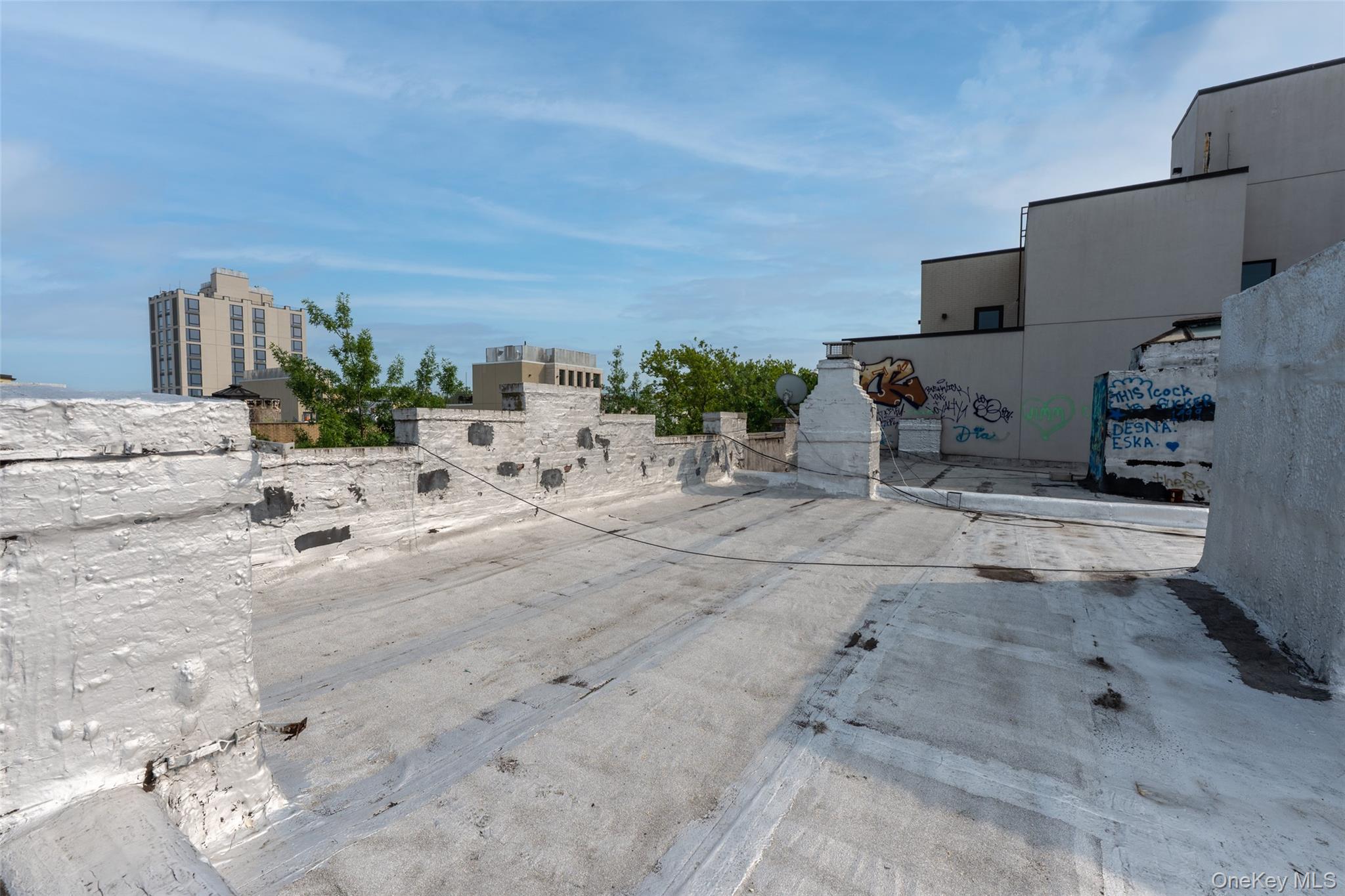 #15 photo, 1517 Jefferson Avenue, ブルックリン区 Brooklyn , NY 11237