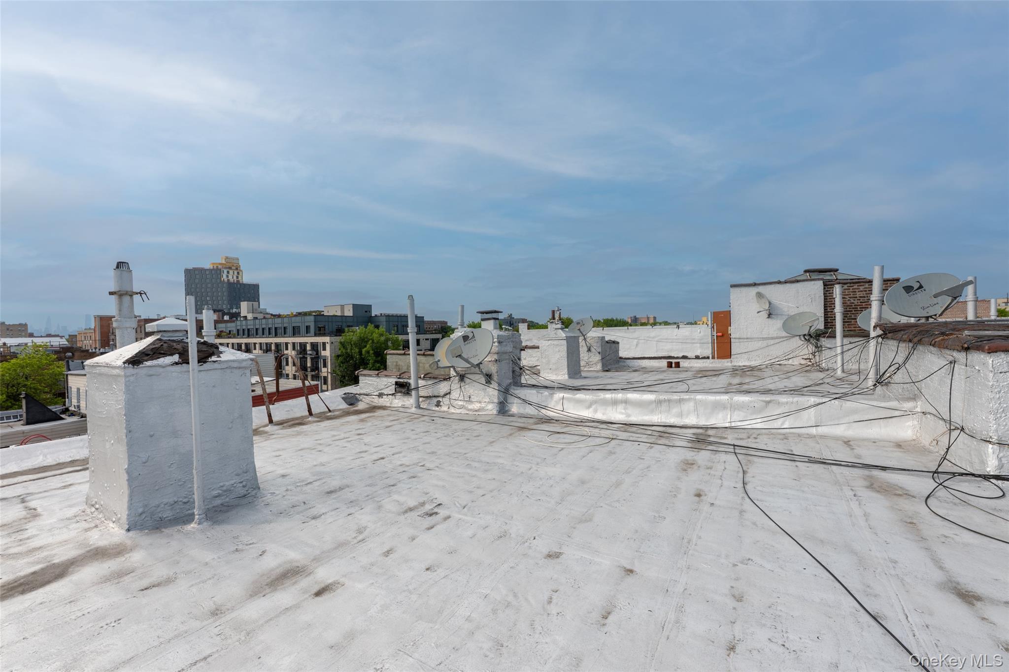 #16 photo, 1517 Jefferson Avenue, ブルックリン区 Brooklyn , NY 11237