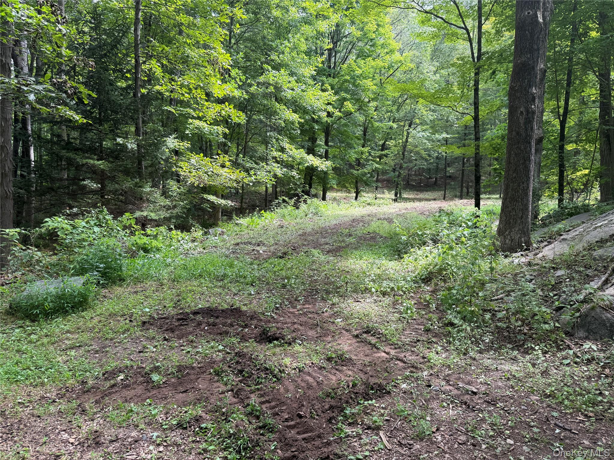 #6 photo, 334 Bedford Banksville Road, Bedford , NY 10506