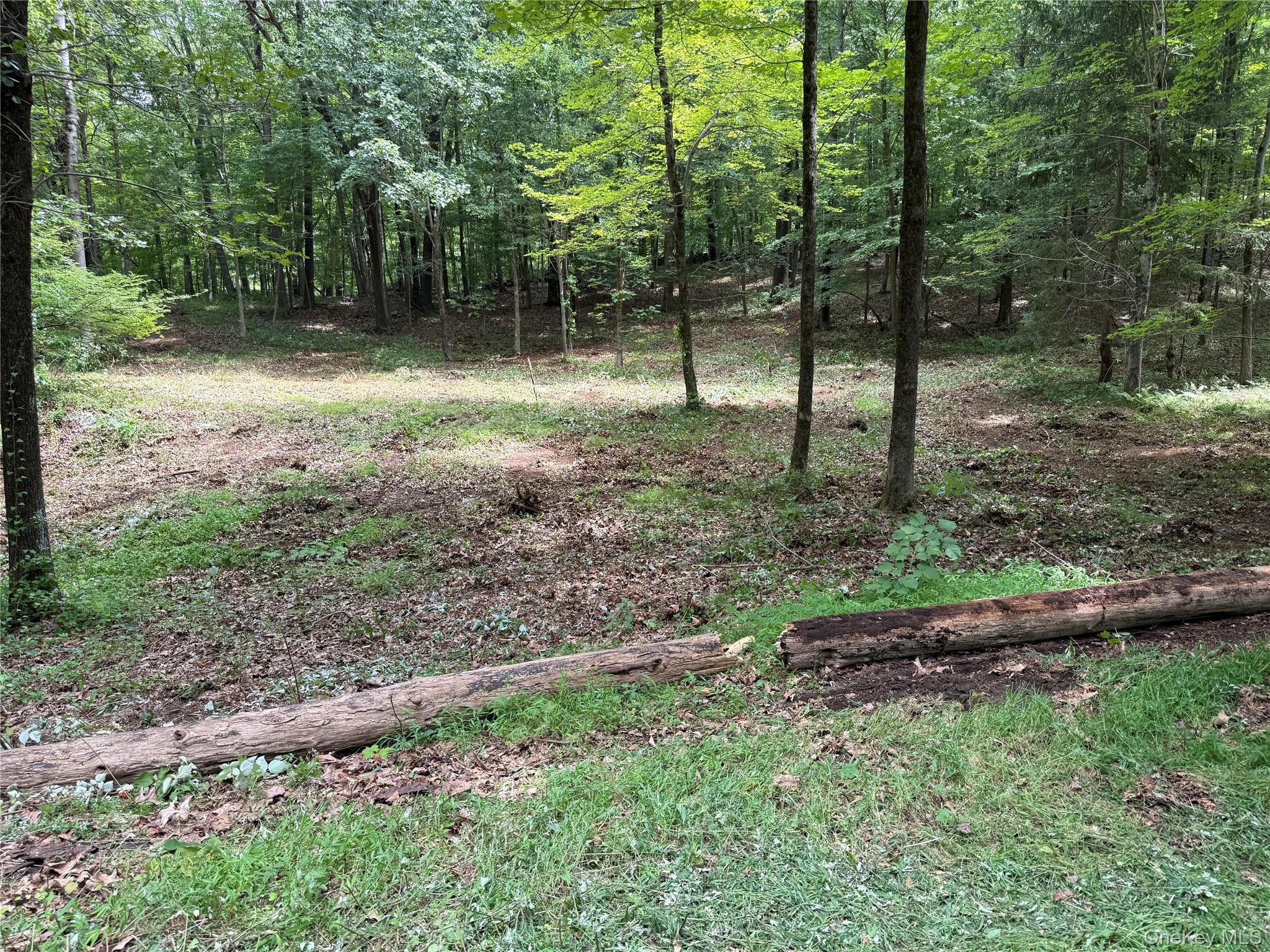 #9 photo, 334 Bedford Banksville Road, 紐約州 Bedford , NY 10506