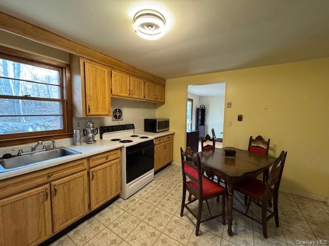 #20 photo, 55 Long Hill Road, Highland Mills , NY 10930