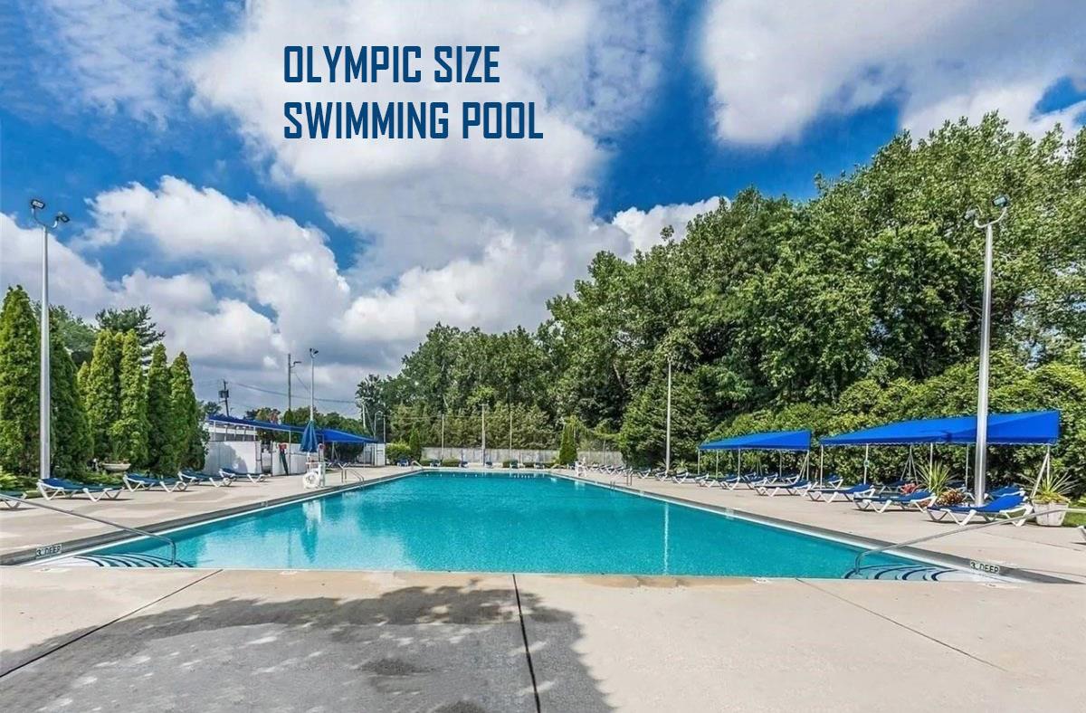 #3 photo, 4 W west mill drive, ナッソー郡 Great Neck , NY 11021