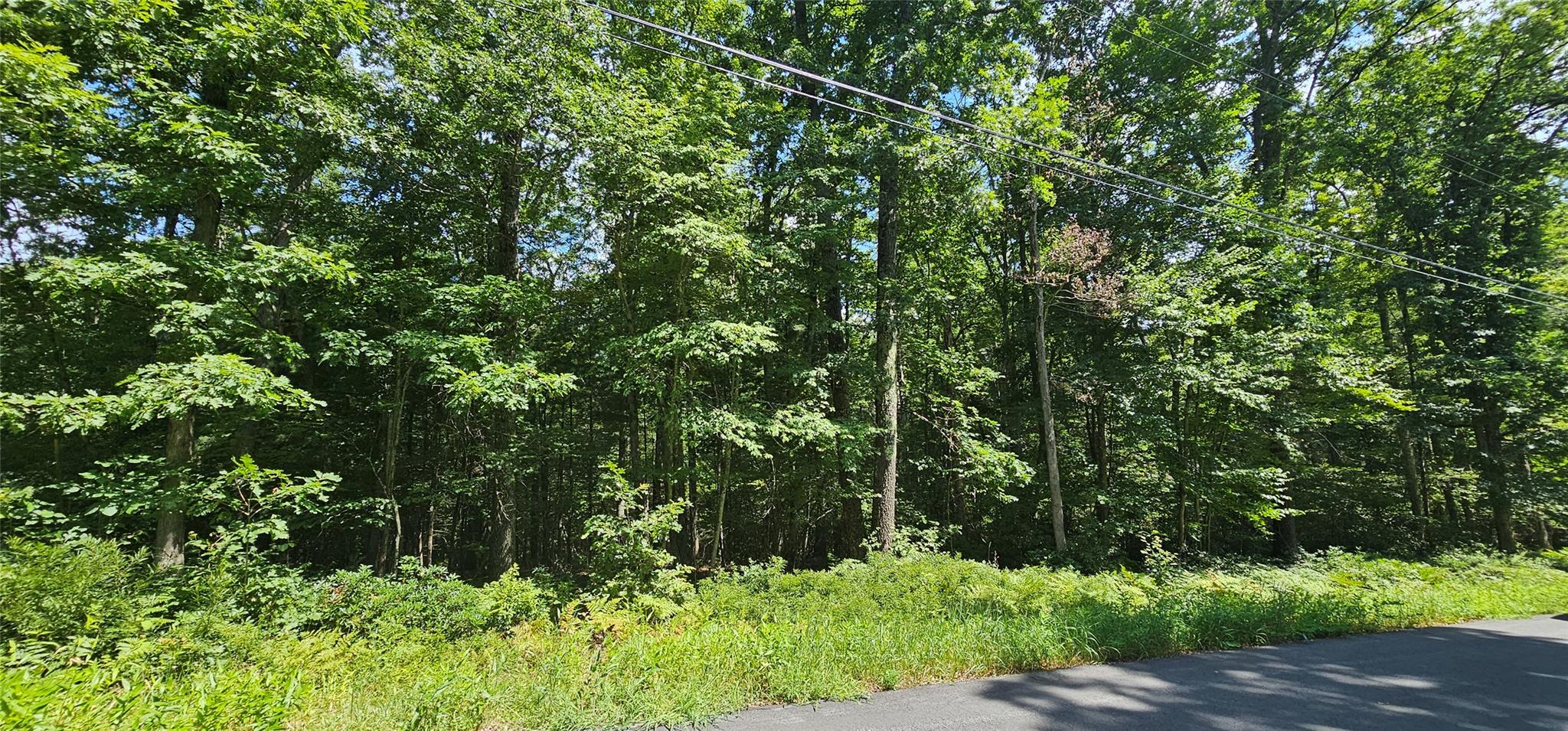 #1 photo, Lot 23.23 Perry Pond Road, 纽约州 Narrowsburg , NY 12764