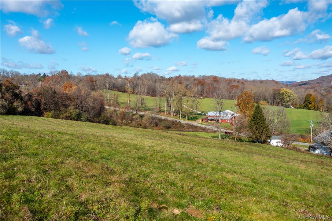 #6 photo, Cricket Hill Road, Wingdale , NY 12594