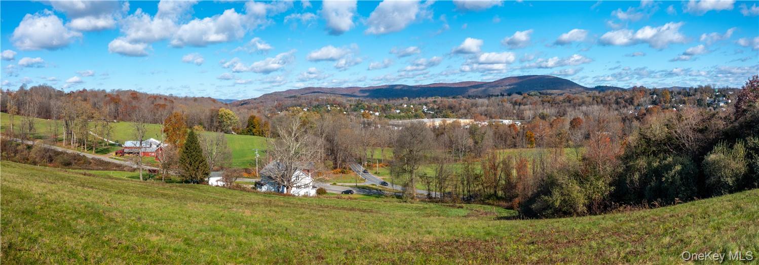 #8 photo, Cricket Hill Road, Wingdale , NY 12594