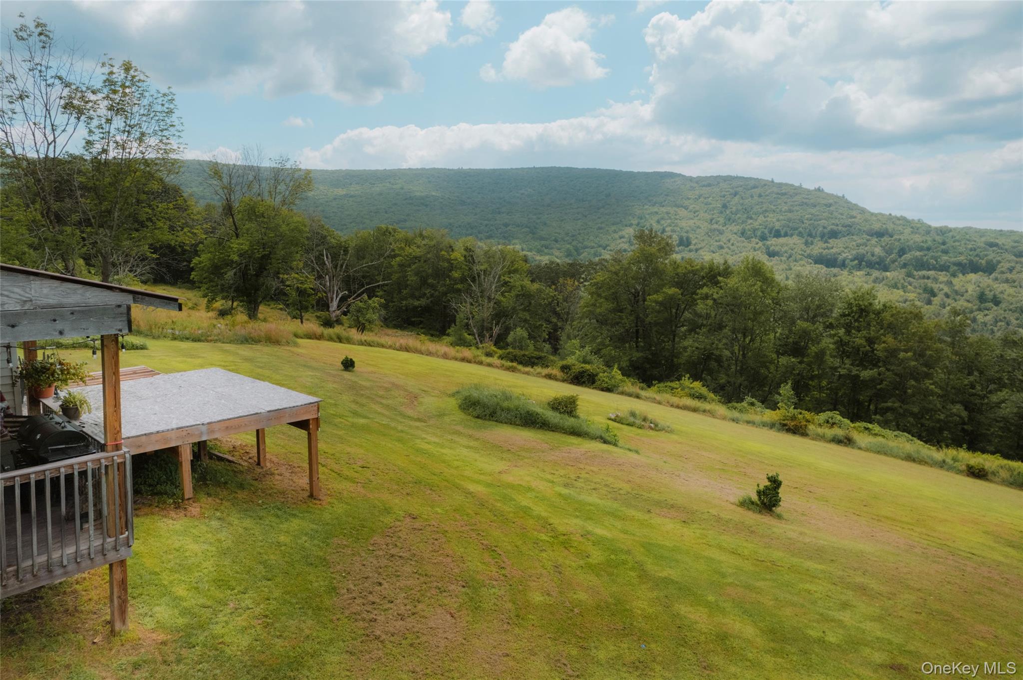 #9 photo, 332 & 308 E Mountain Road, Grahamsville , NY 12740