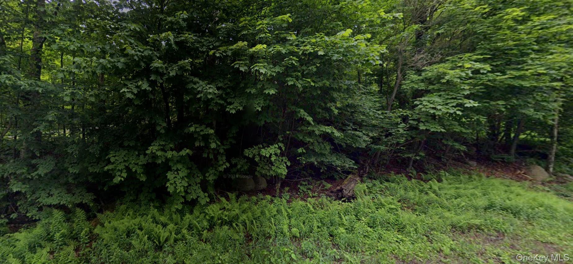 #1 photo, 375A Davos Road, Fallsburg , NY 12789