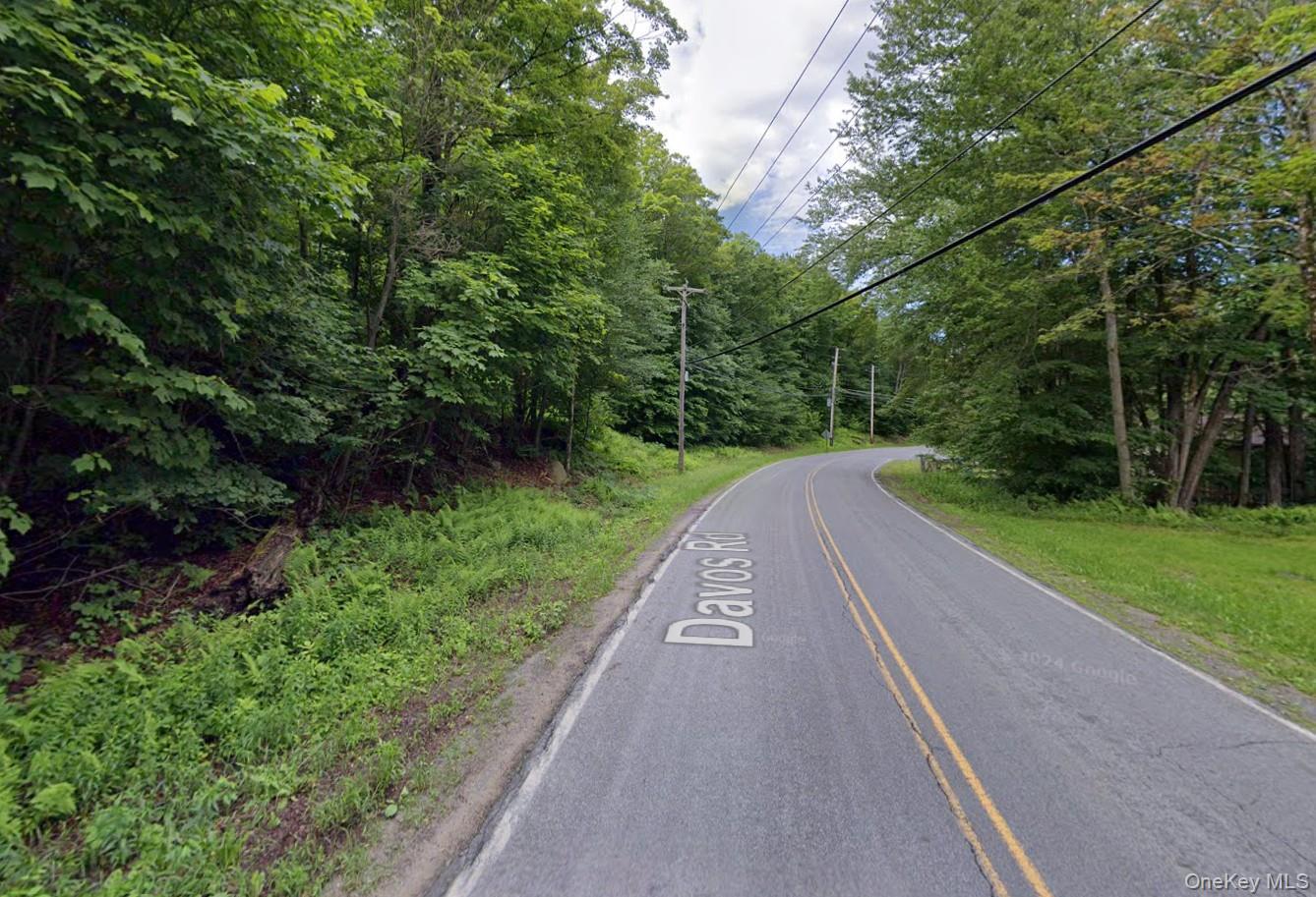 #2 photo, 375A Davos Road, Fallsburg , NY 12789