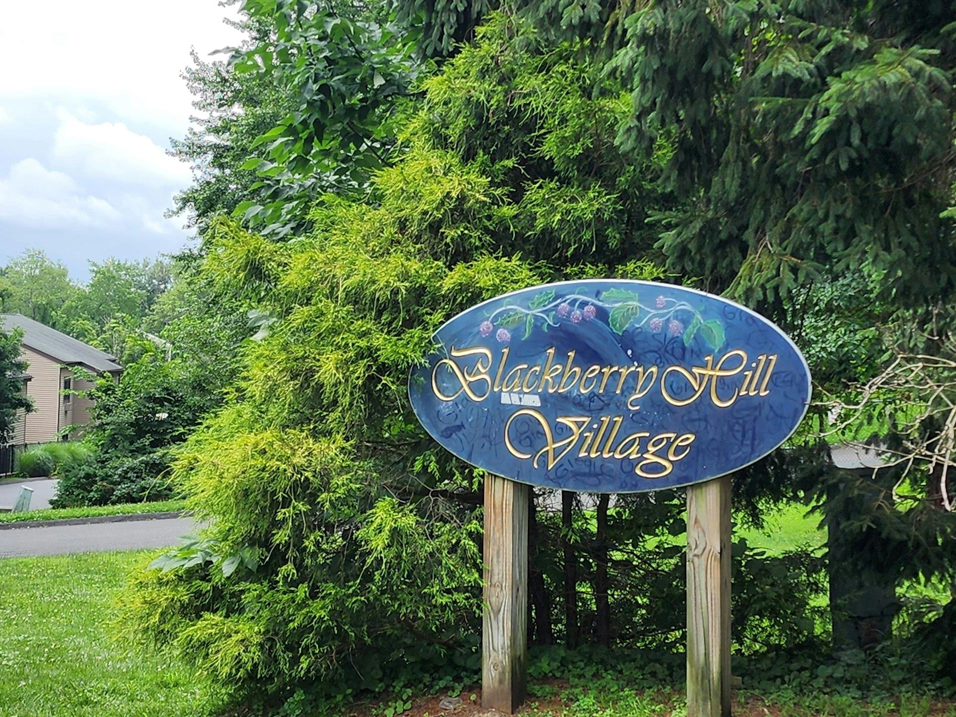 #2 photo, 1203 Village Drive, 纽约州 Brewster , NY 10509